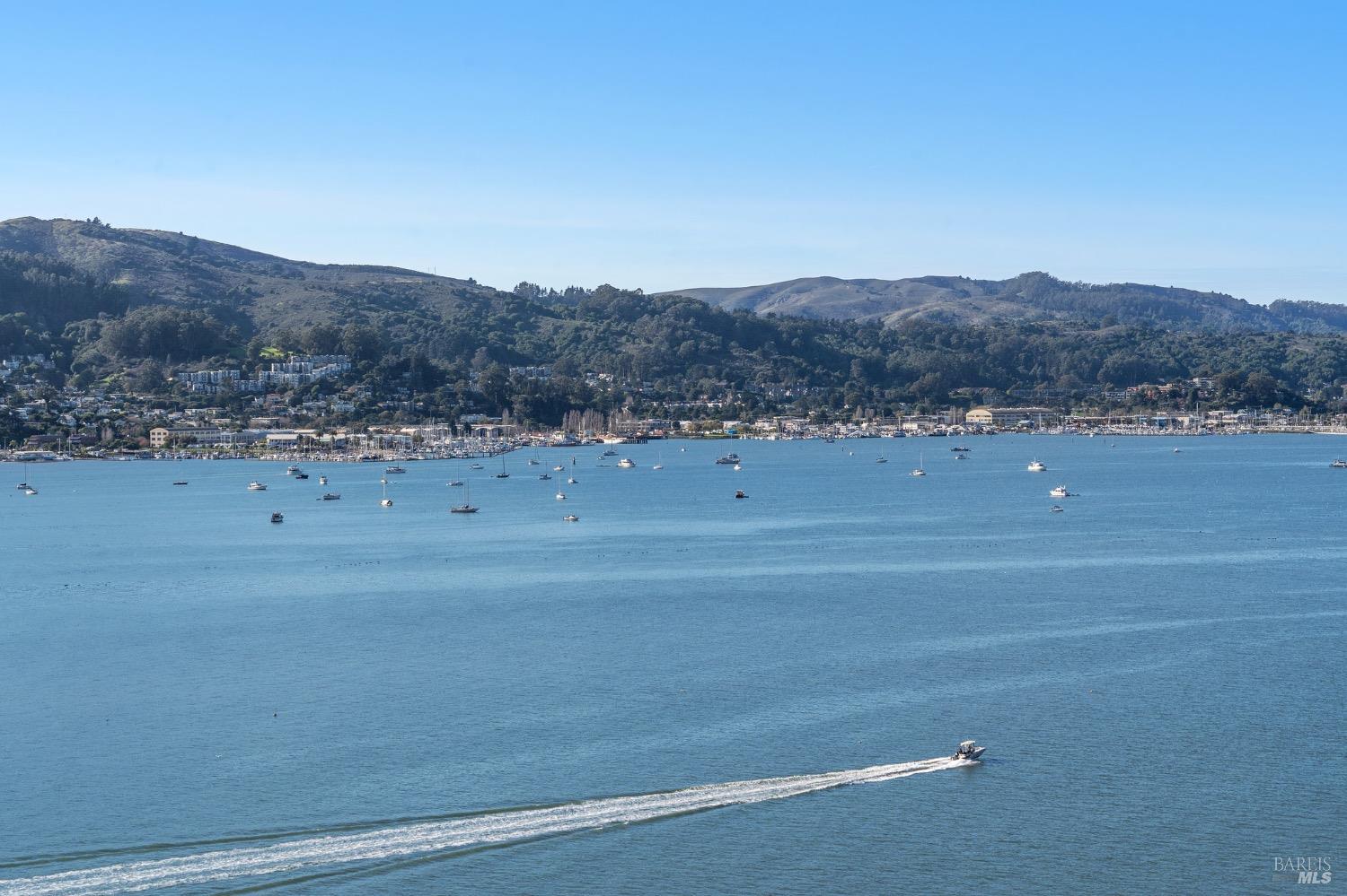 280 Belvedere Avenue