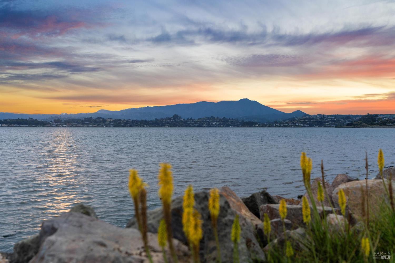 44 San Rafael Avenue