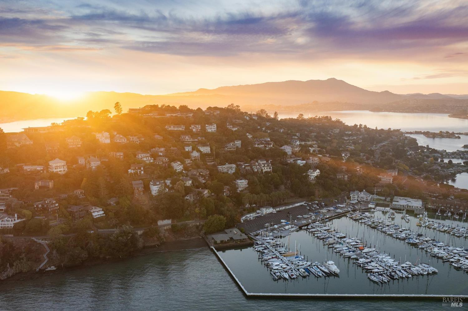 Belvedere hillside and marina at sunset, with boats in the harbor and mountains beyond.