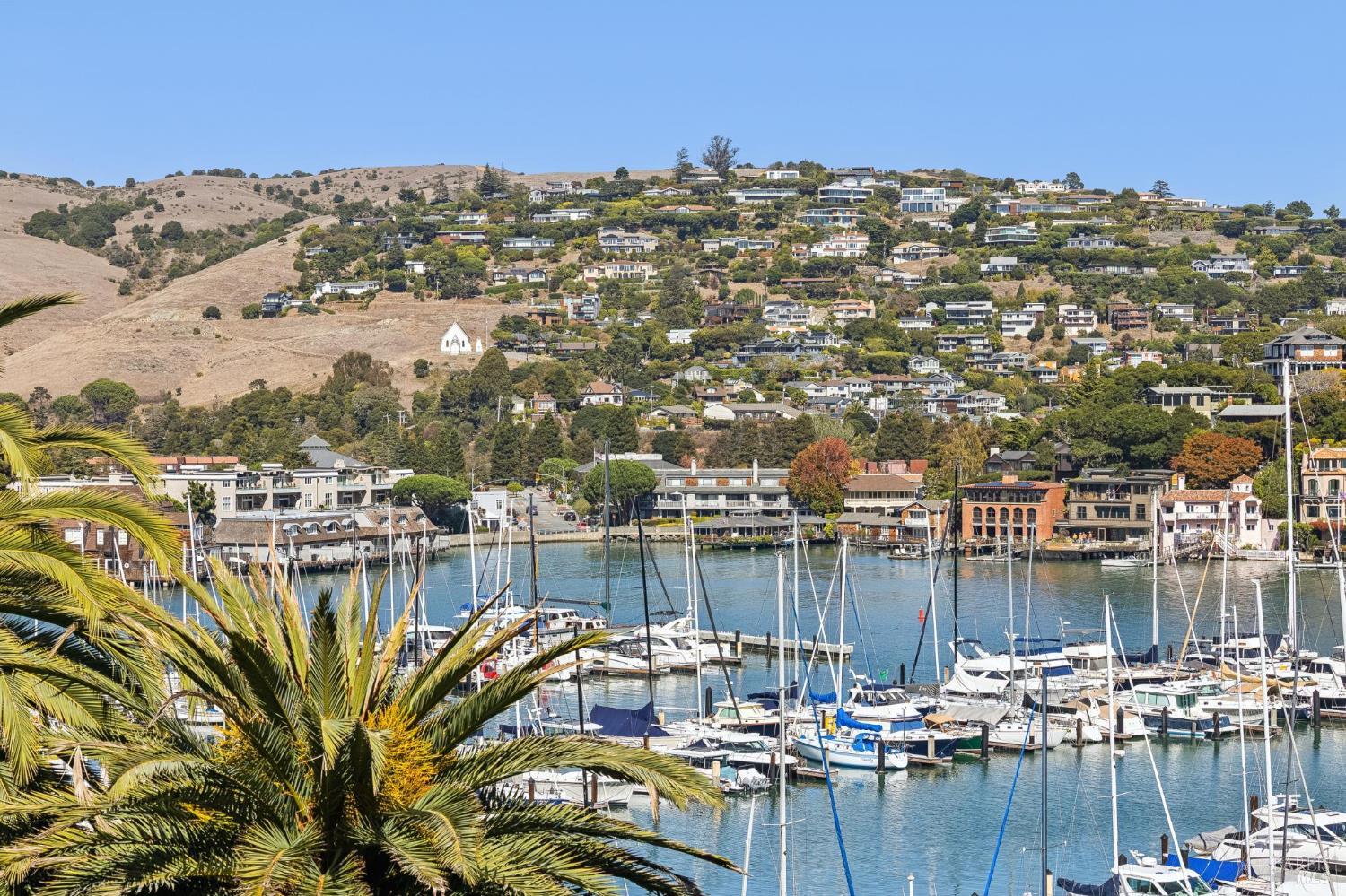 Belvedere marina with sailboats below a hillside neighborhood.