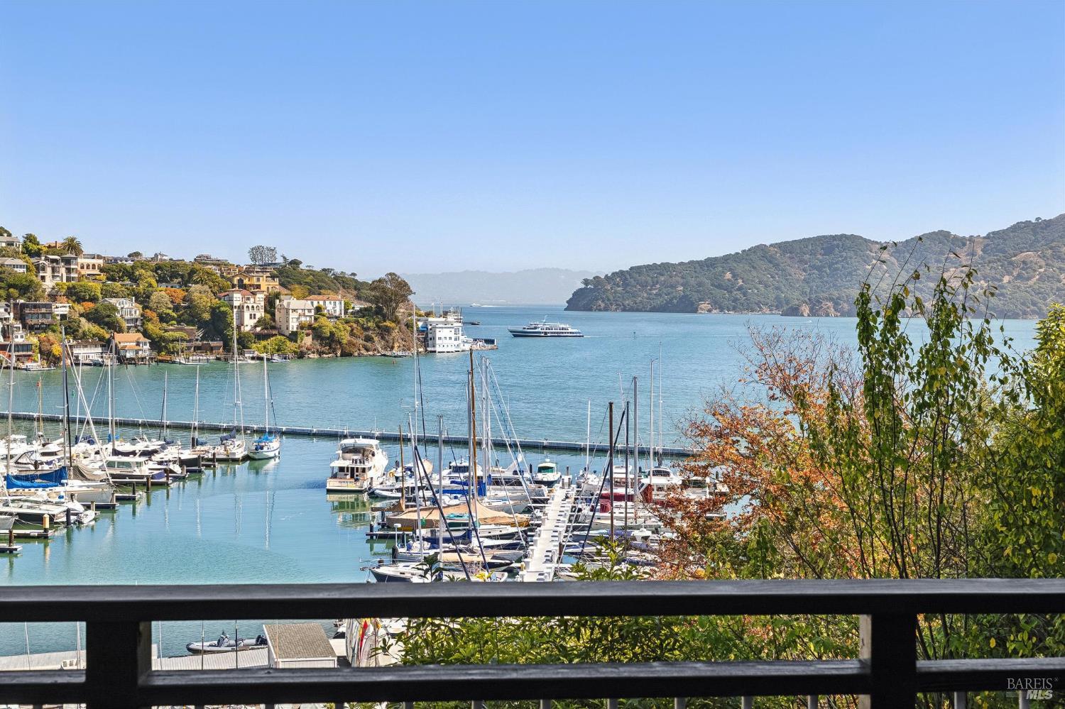 Marina and boats on the bay, with hillside homes and a wooded shoreline beyond.