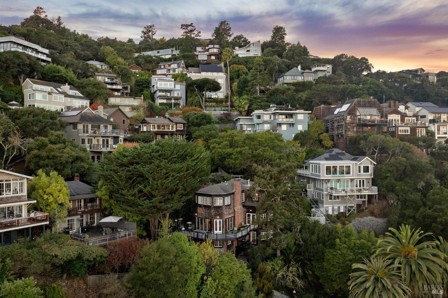 Hillside homes surrounded by trees beneath a colorful evening sky.