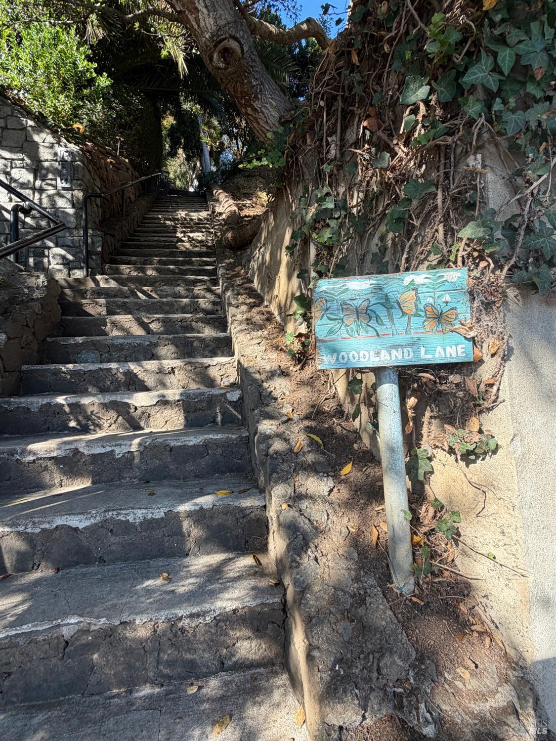 Stone steps climb beside ivy-covered walls and a painted Woodland Lane sign.