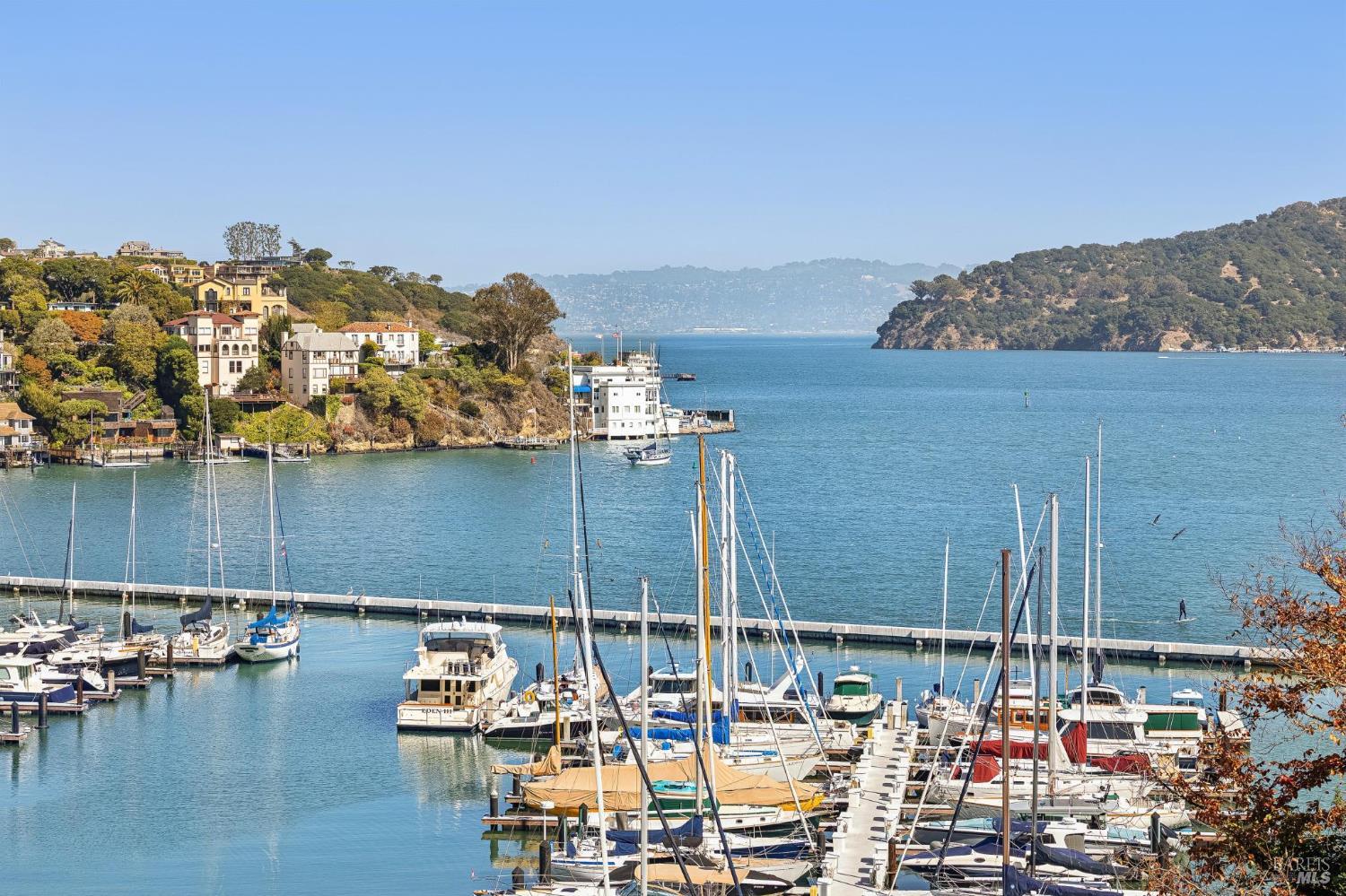Belvedere harbor marina with sailboats, waterfront homes, and wooded hills across the bay.