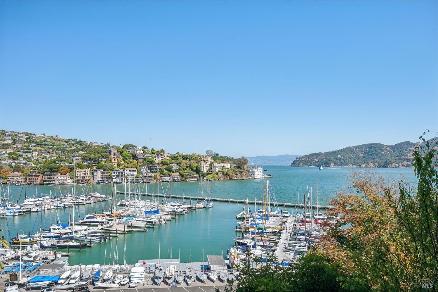 Marina and bay view with sailboats, waterfront homes, and green hills.