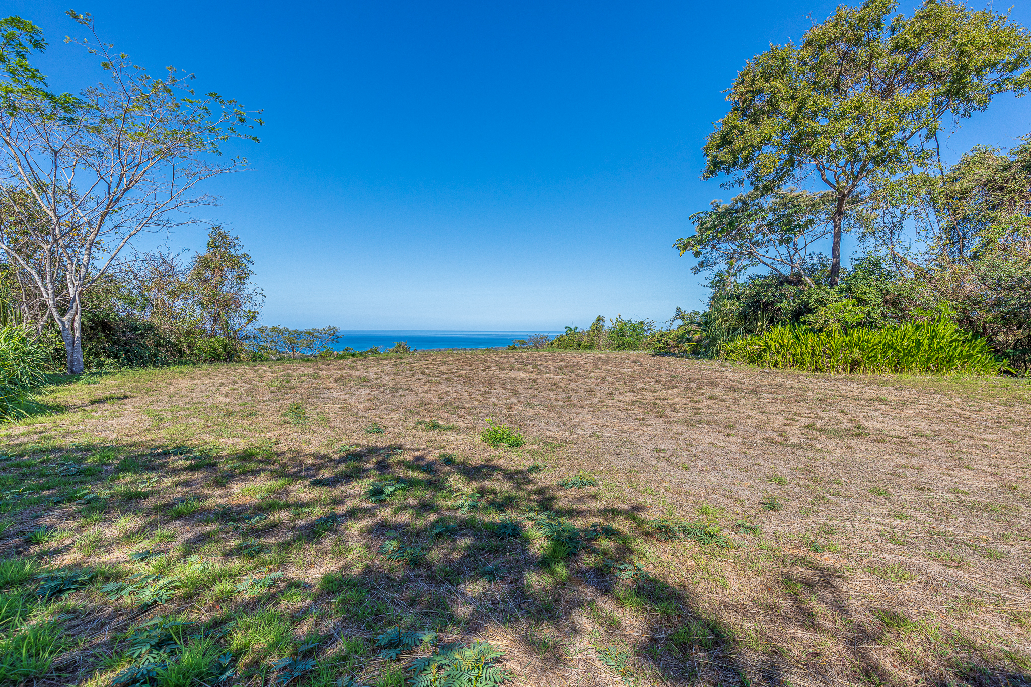 50 metros oeste de cafe de paris