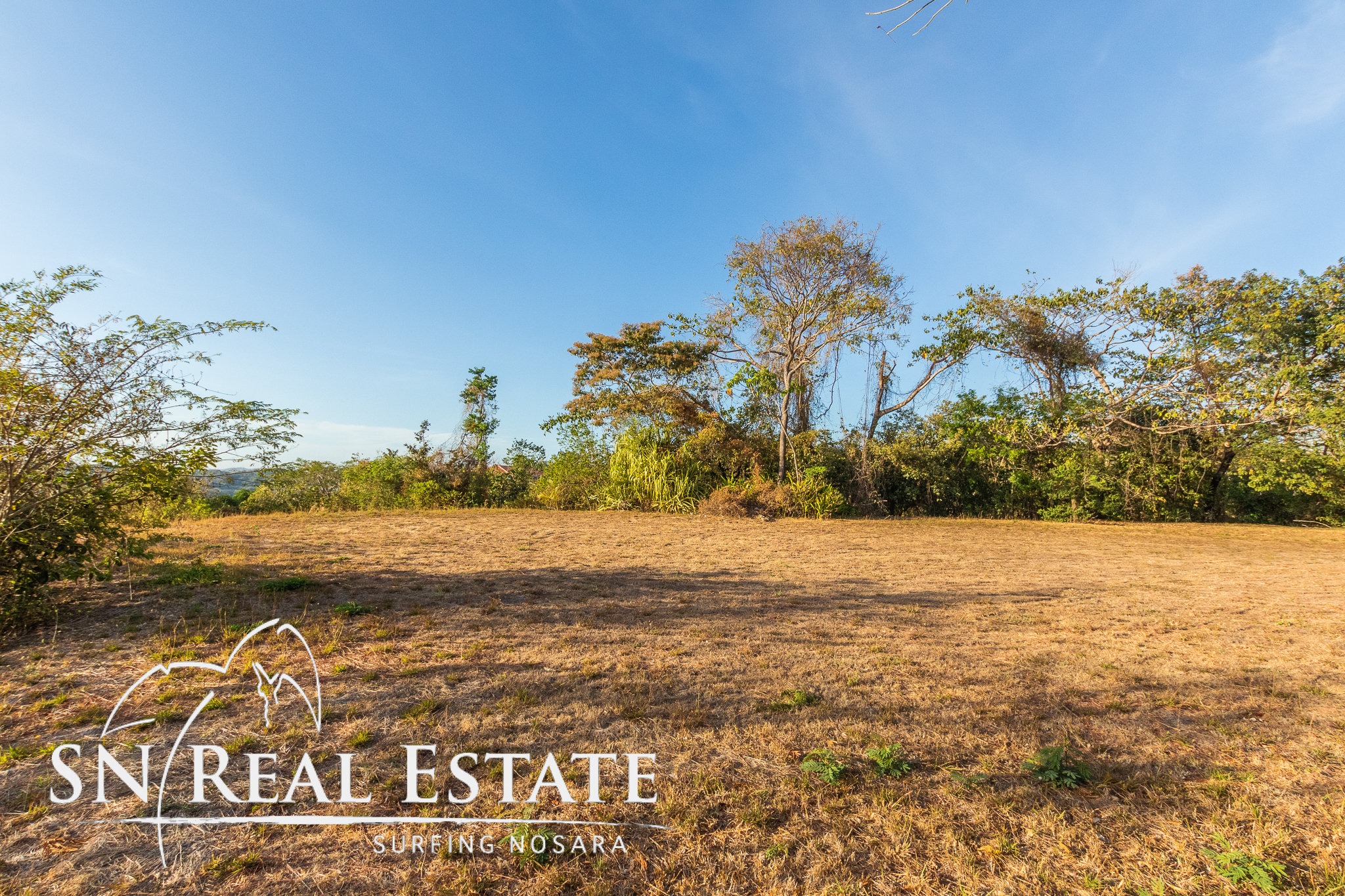 50 metros oeste de cafe de paris