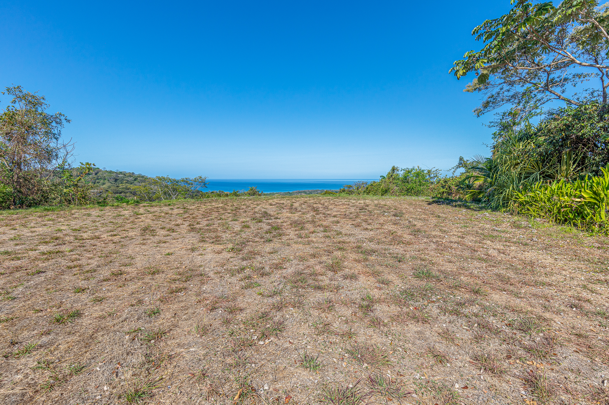 50 metros oeste de cafe de paris