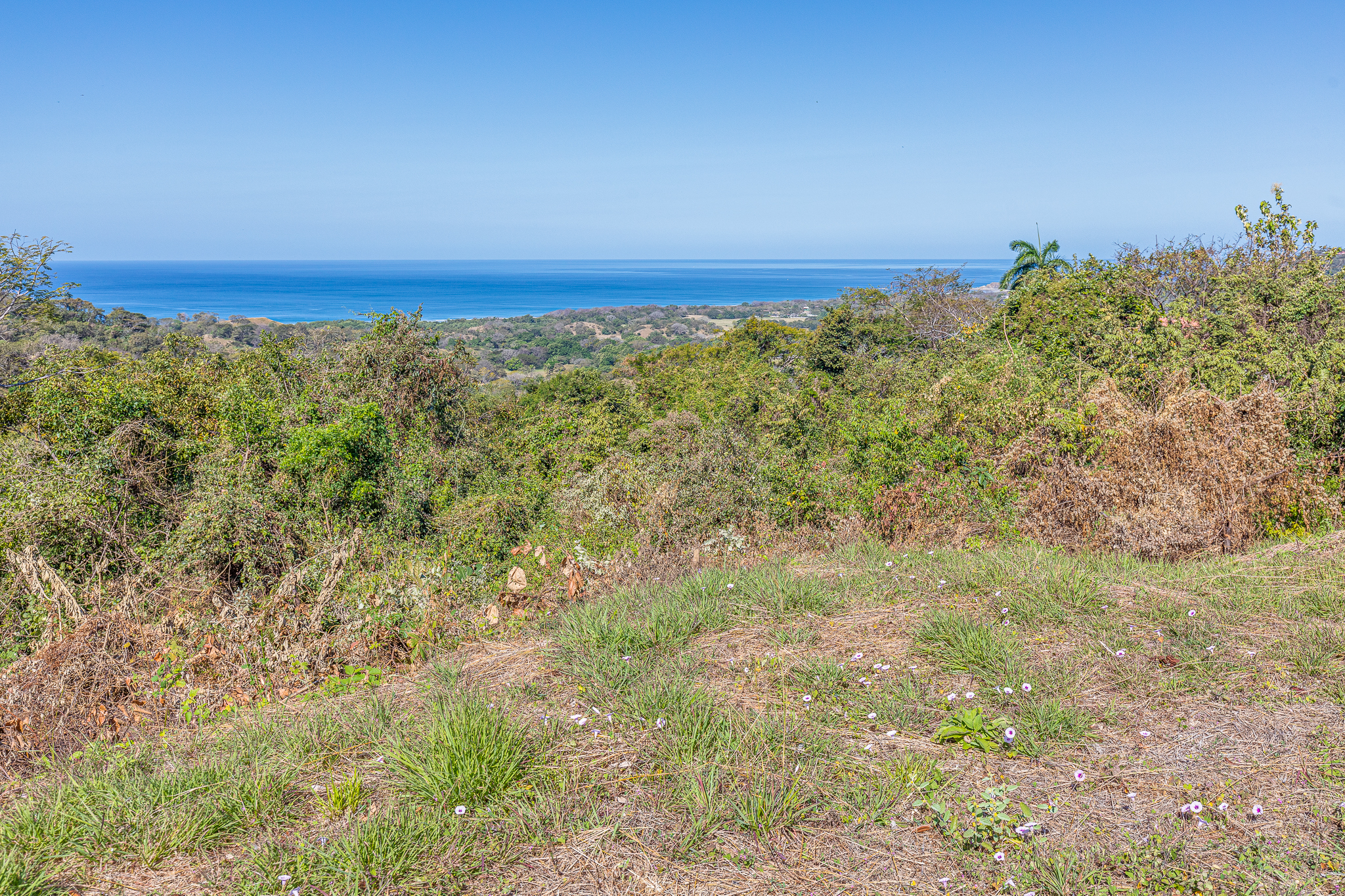 50 metros oeste de cafe de paris