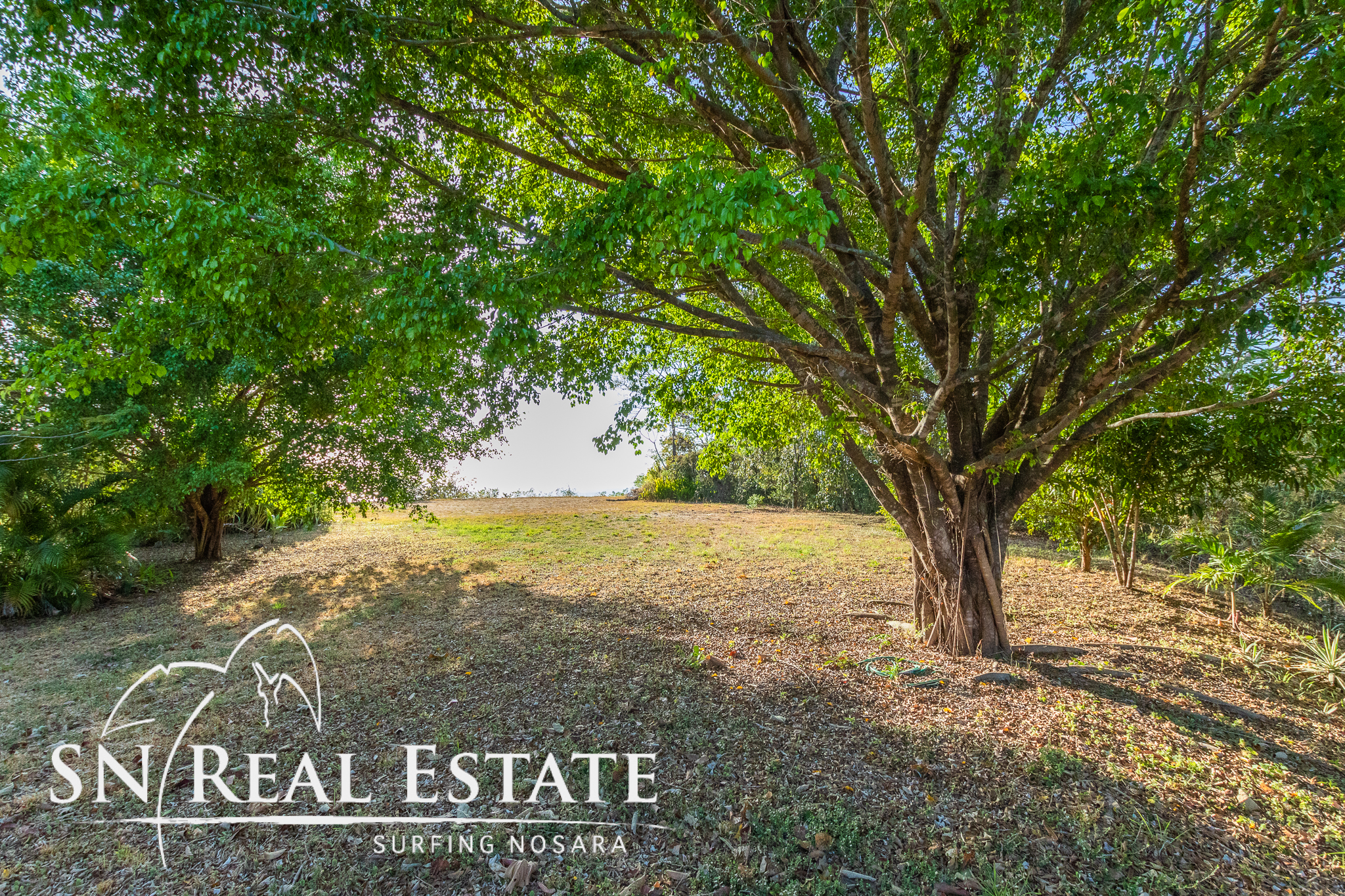 50 metros oeste de cafe de paris