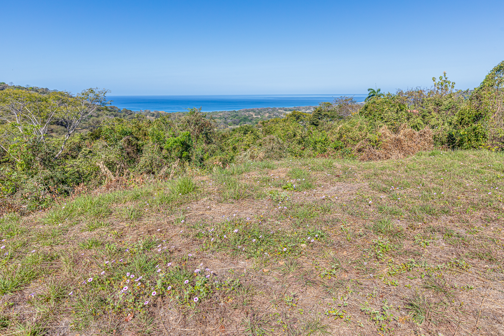 50 metros oeste de cafe de paris