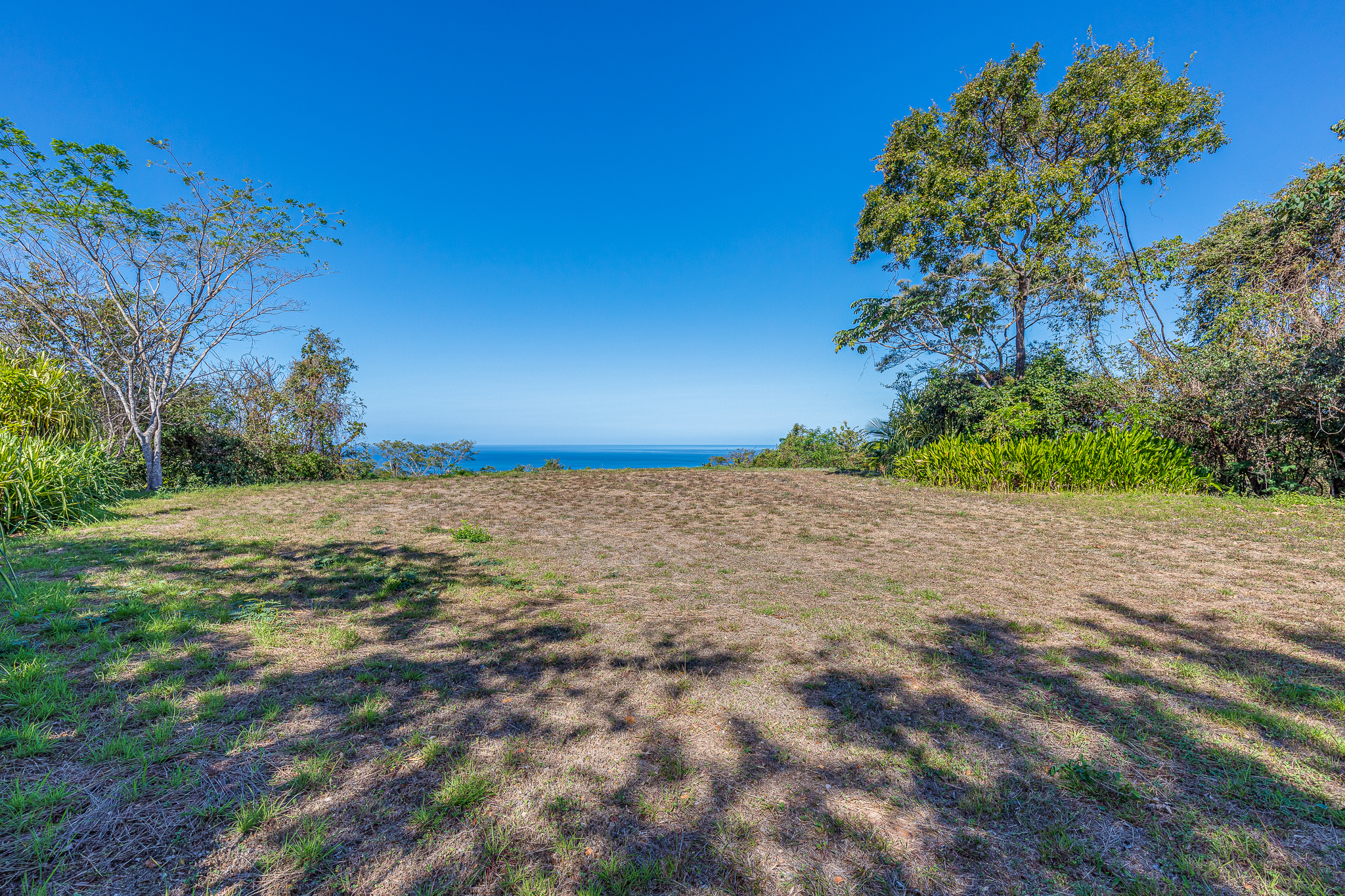 50 metros oeste de cafe de paris