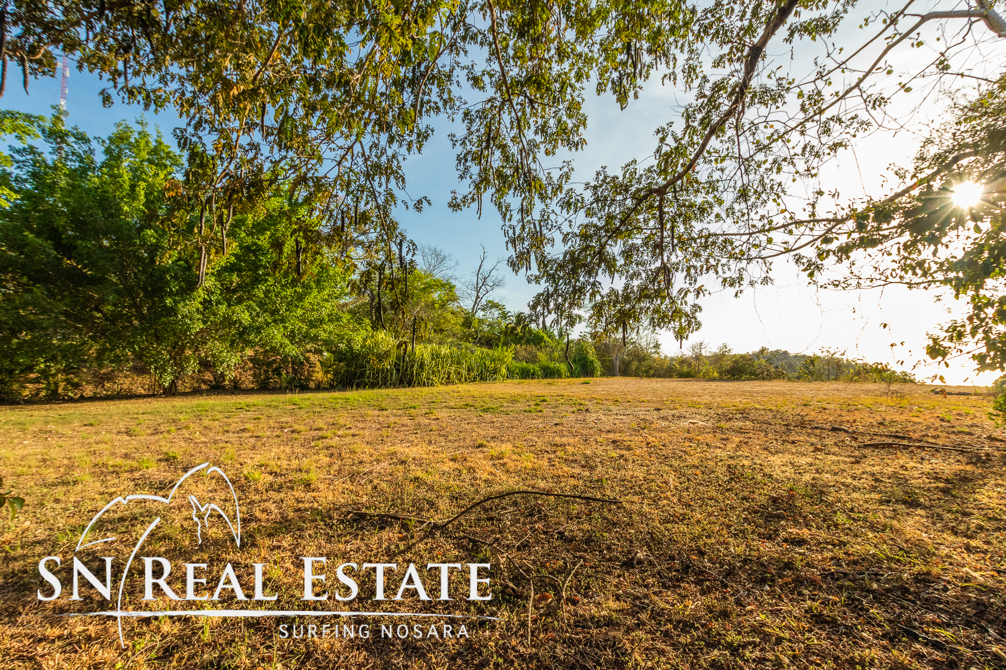 50 metros oeste de cafe de paris