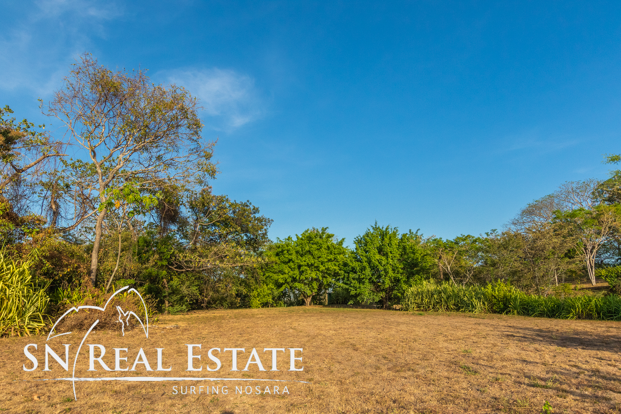 50 metros oeste de cafe de paris