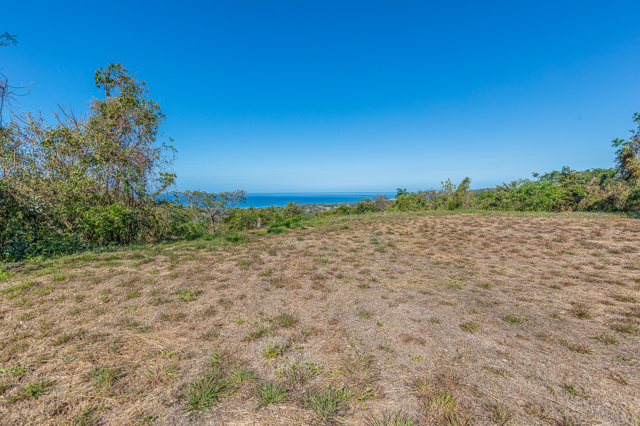 50 metros oeste de cafe de paris