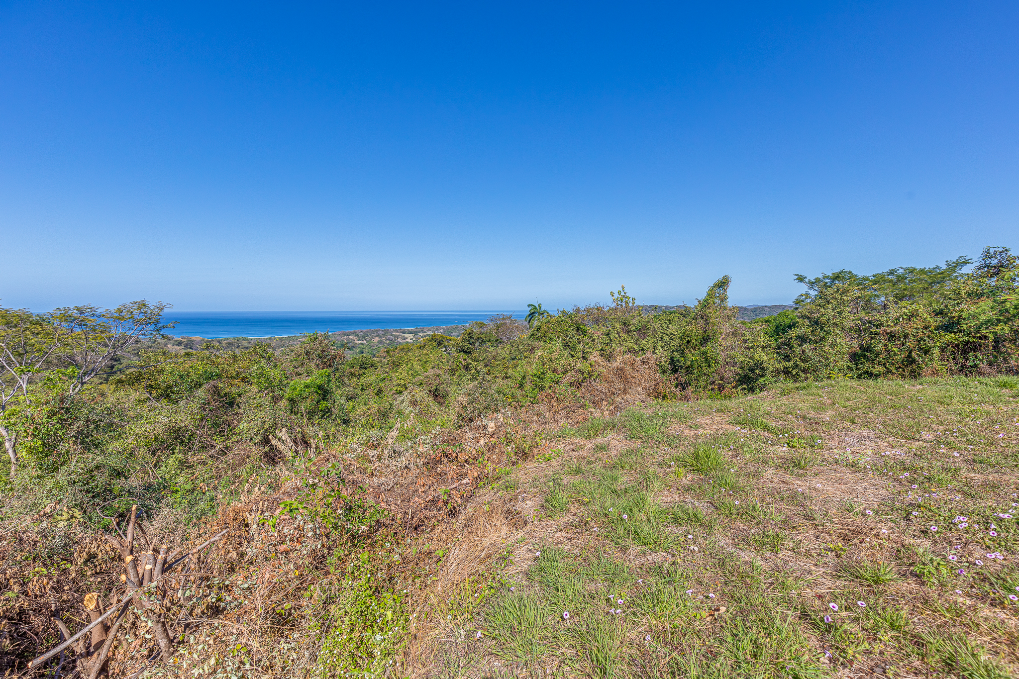 50 metros oeste de cafe de paris