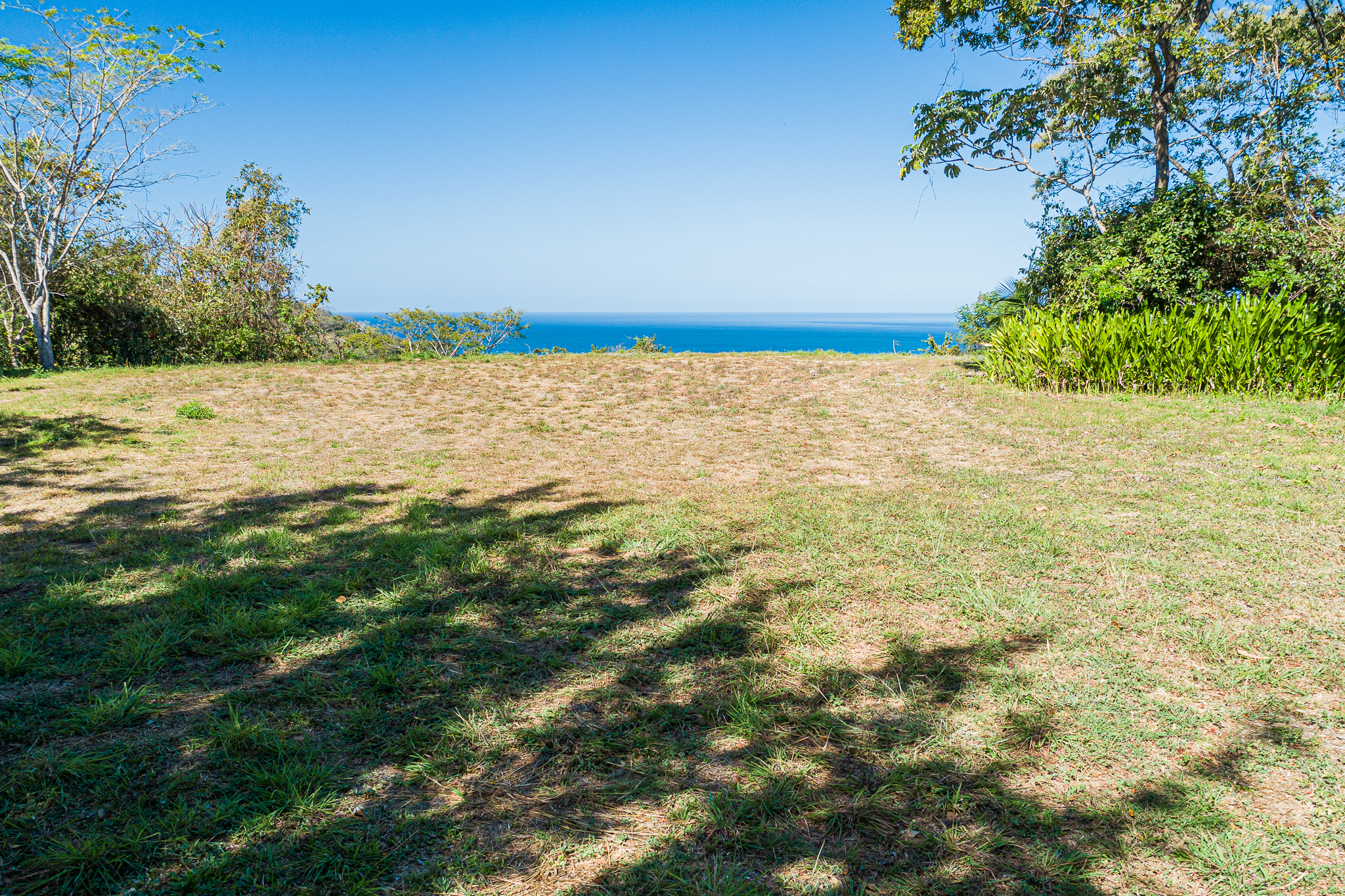 50 metros oeste de cafe de paris