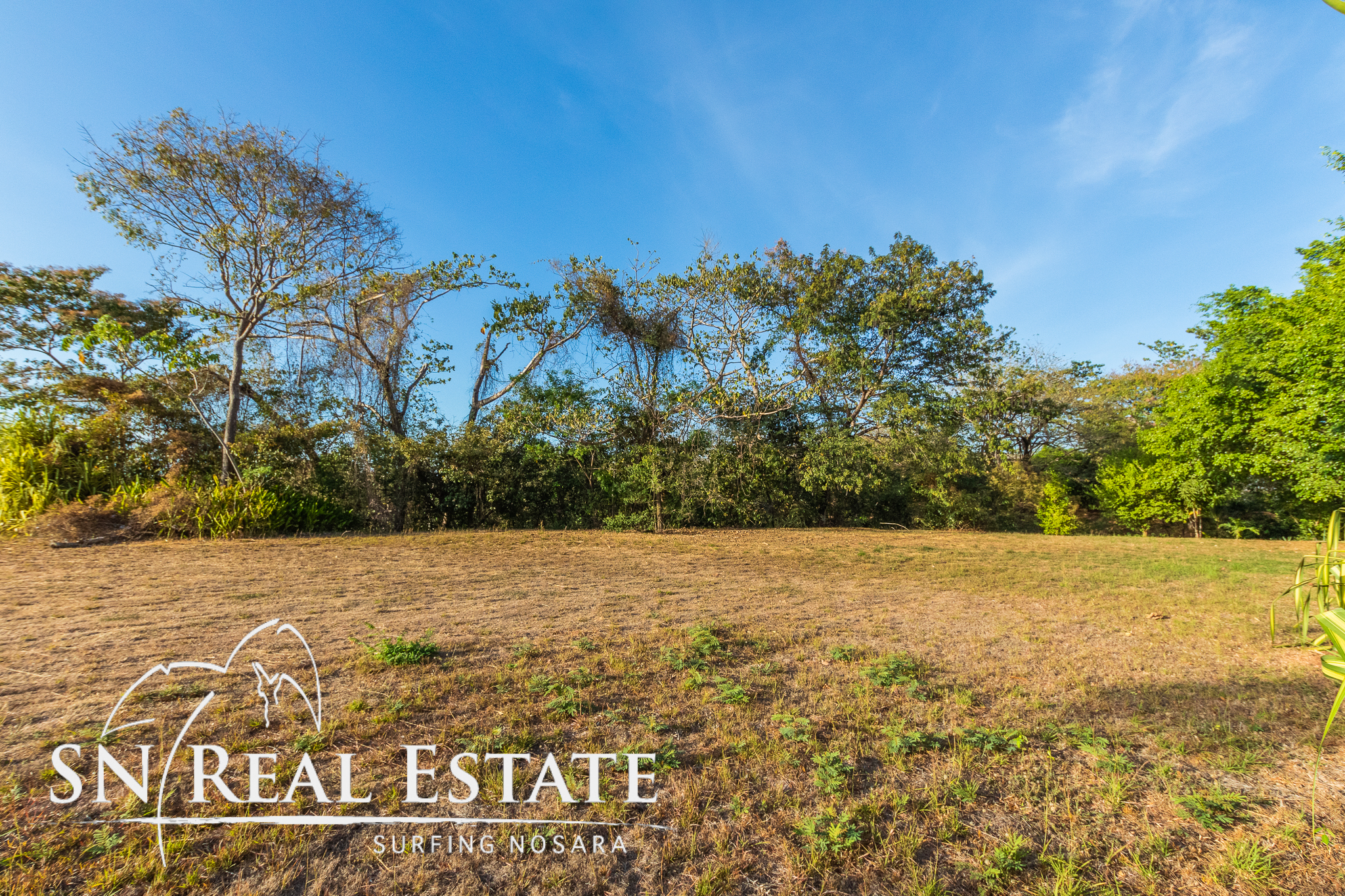 50 metros oeste de cafe de paris