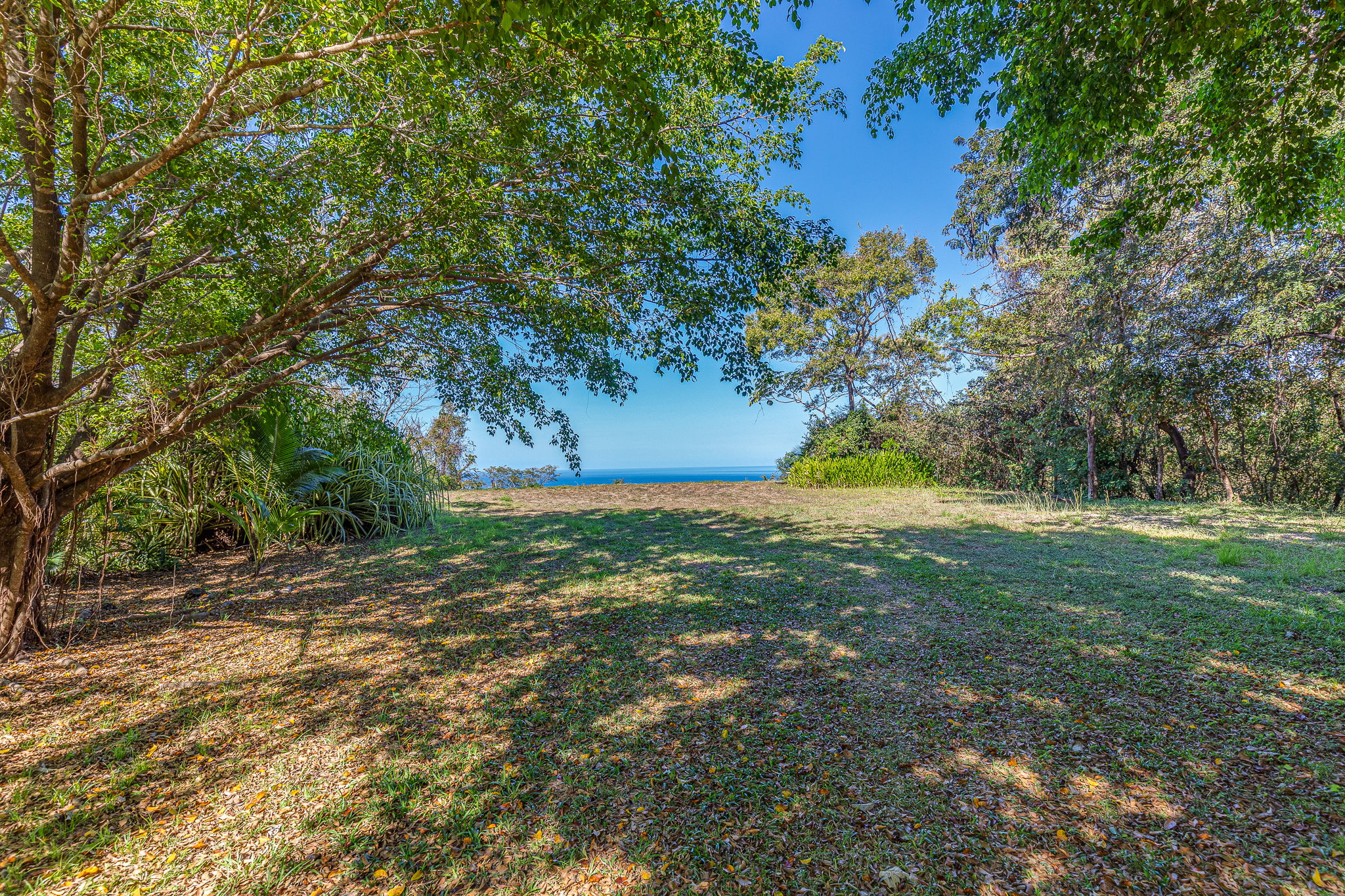 50 metros oeste de cafe de paris