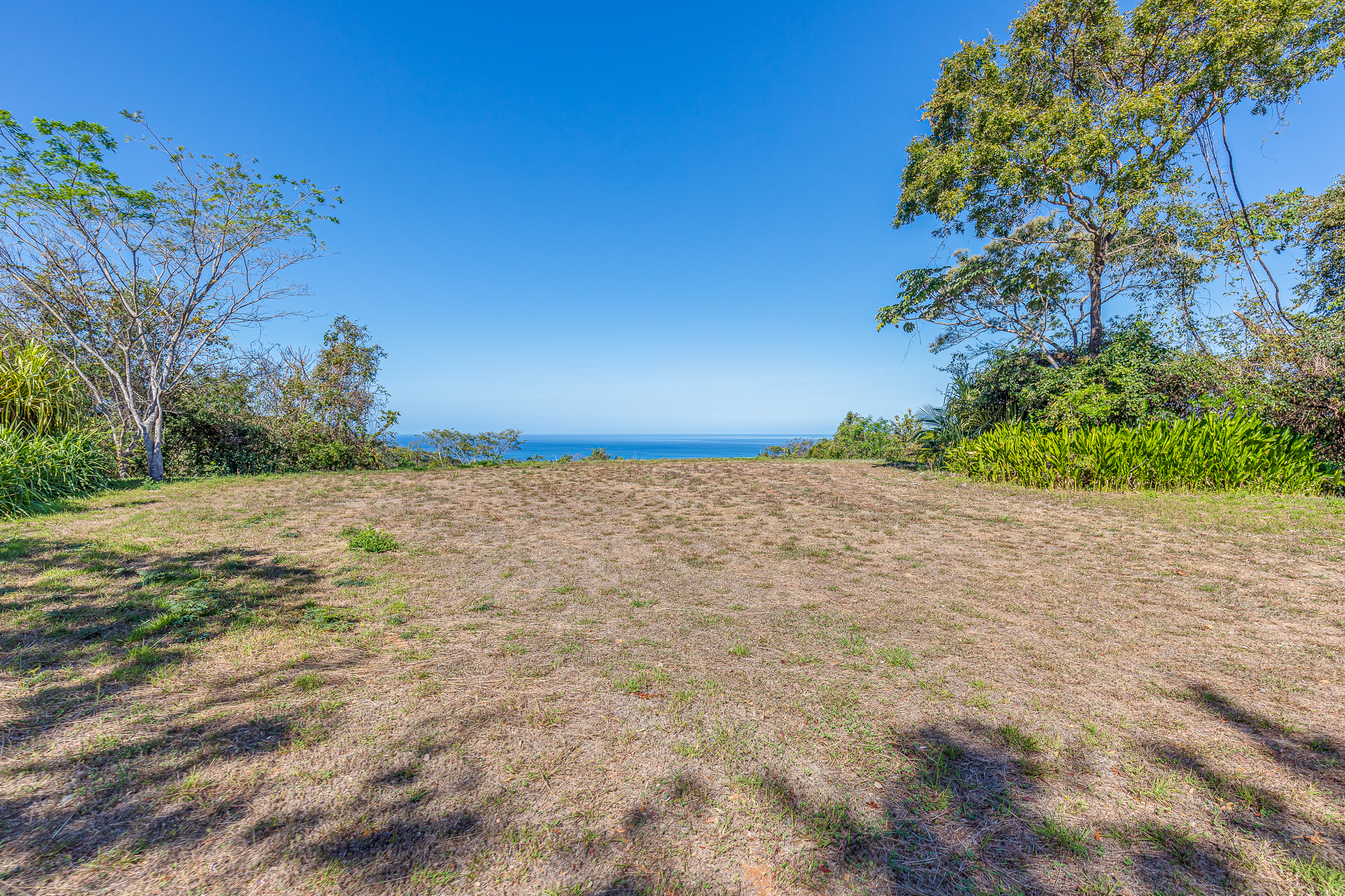 50 metros oeste de cafe de paris