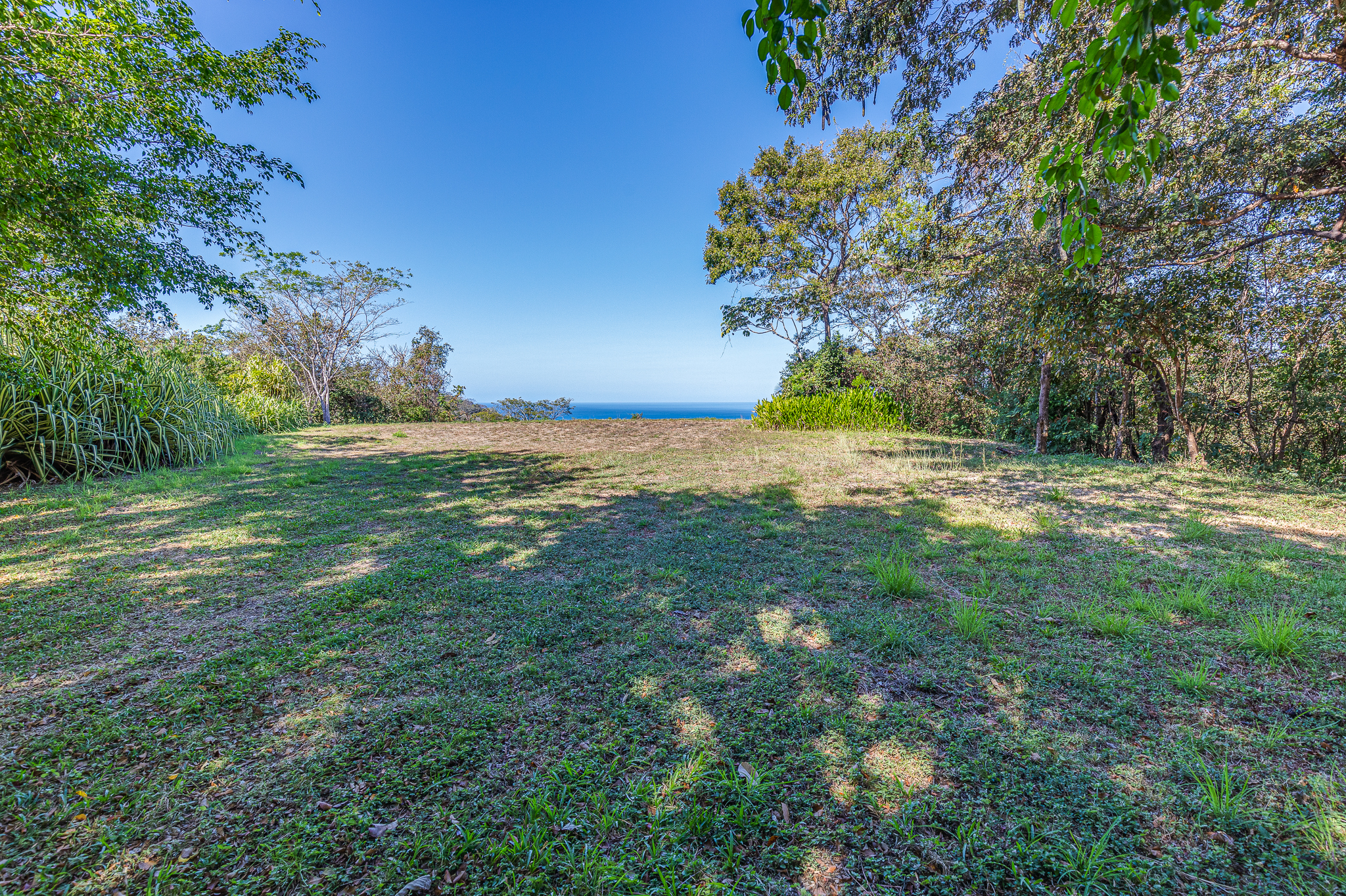 50 metros oeste de cafe de paris