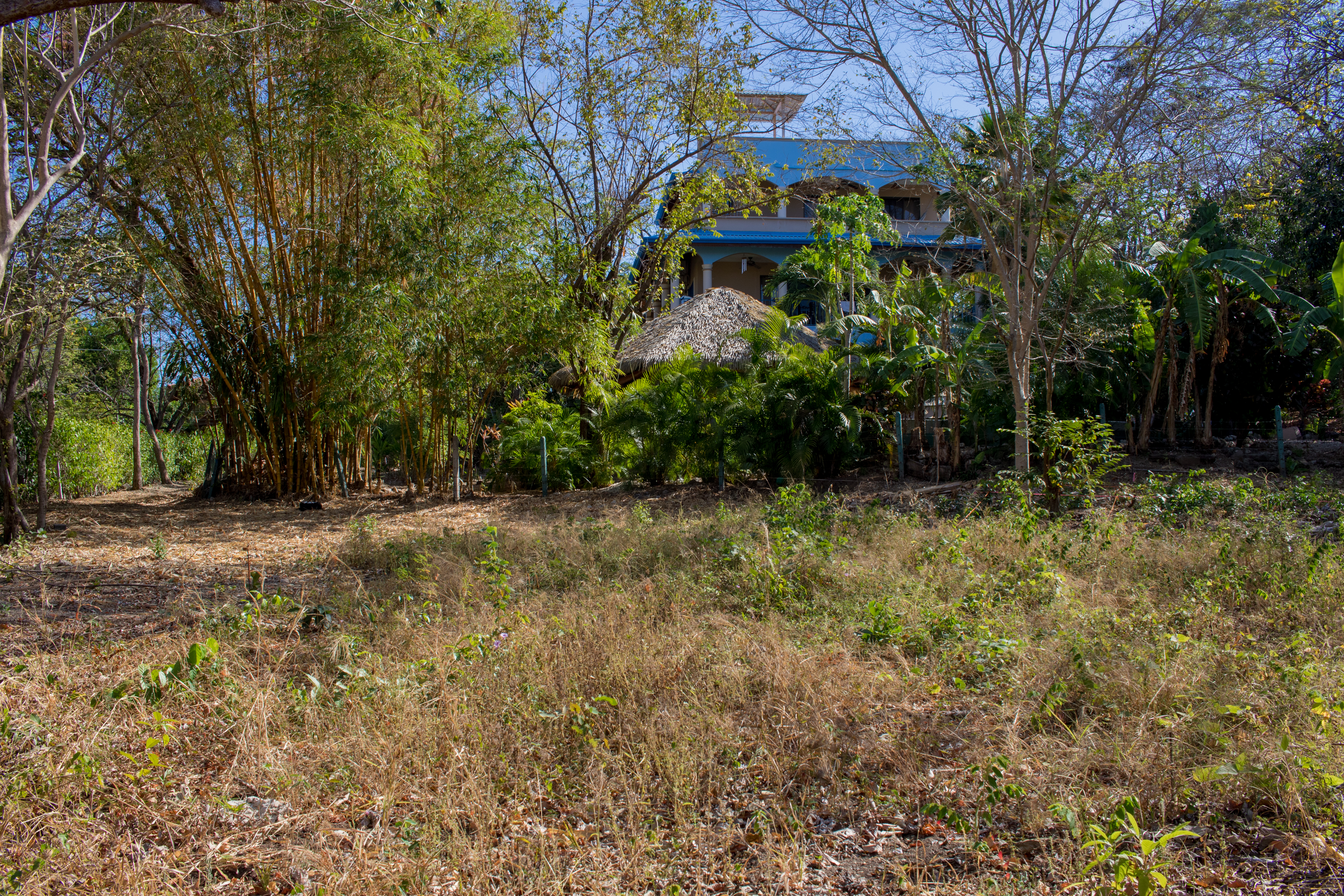 50 metros oeste de cafe de paris