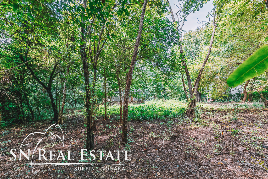 50 metros oeste de cafe de paris