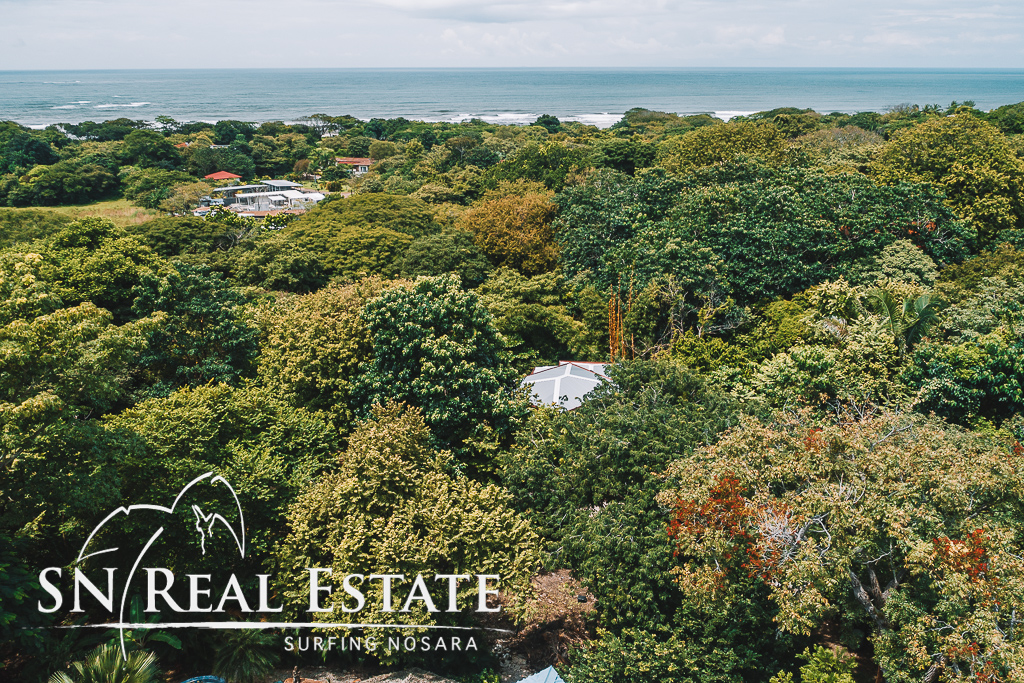 50 metros oeste de cafe de paris