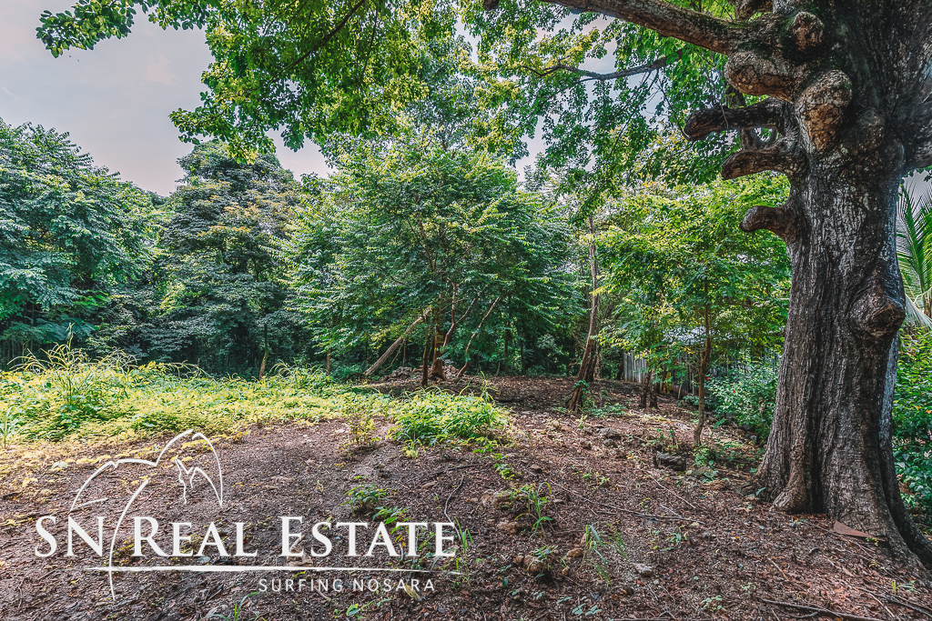 50 metros oeste de cafe de paris