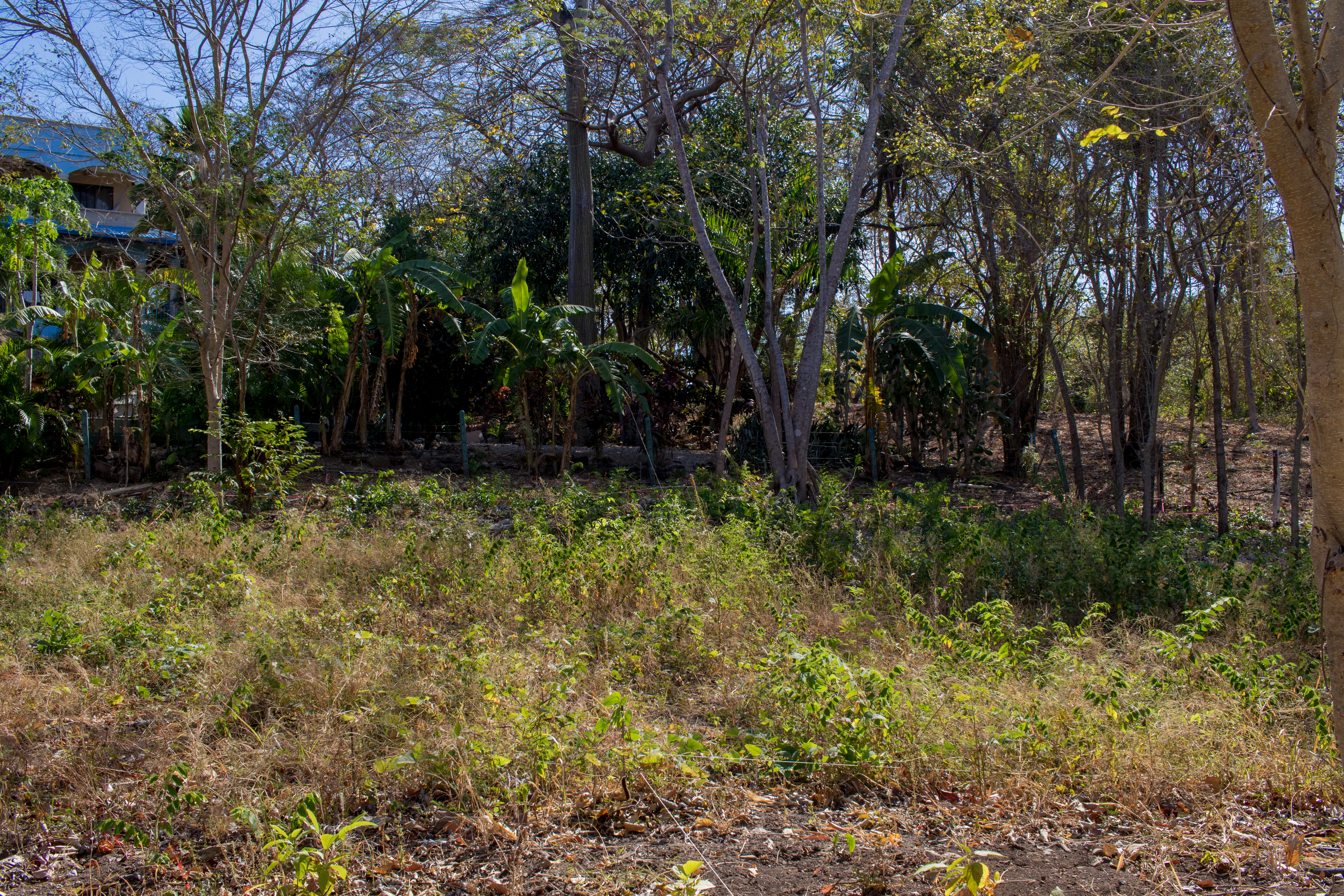 50 metros oeste de cafe de paris