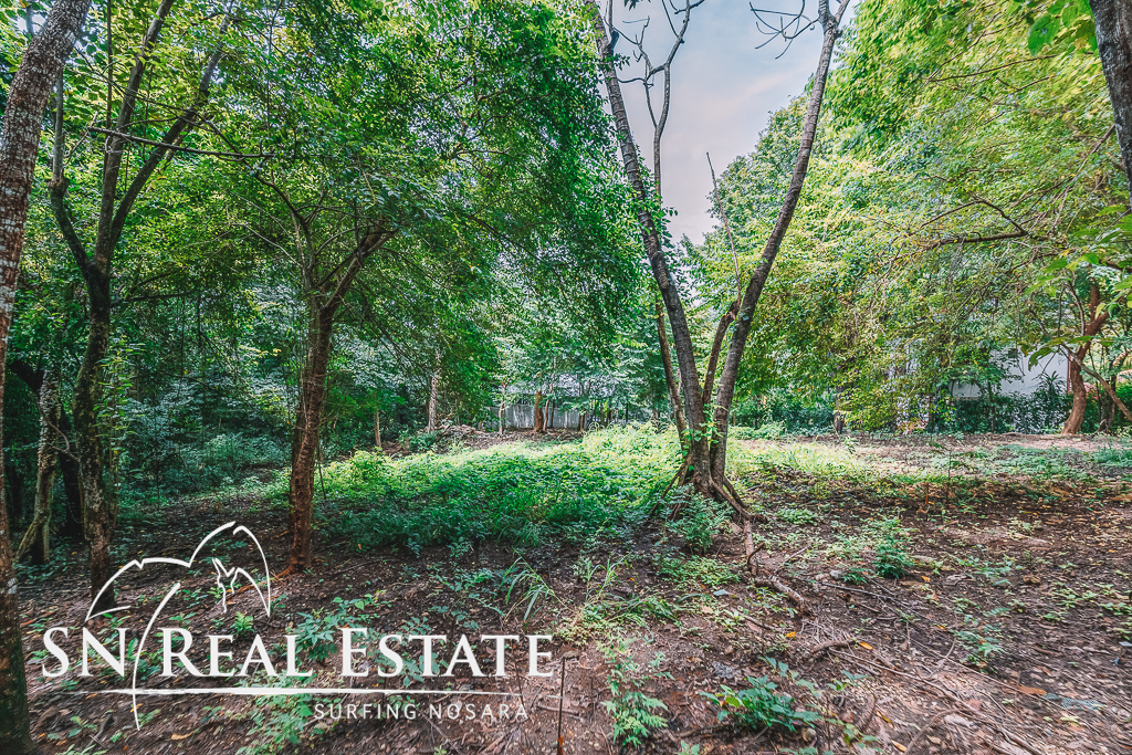 50 metros oeste de cafe de paris