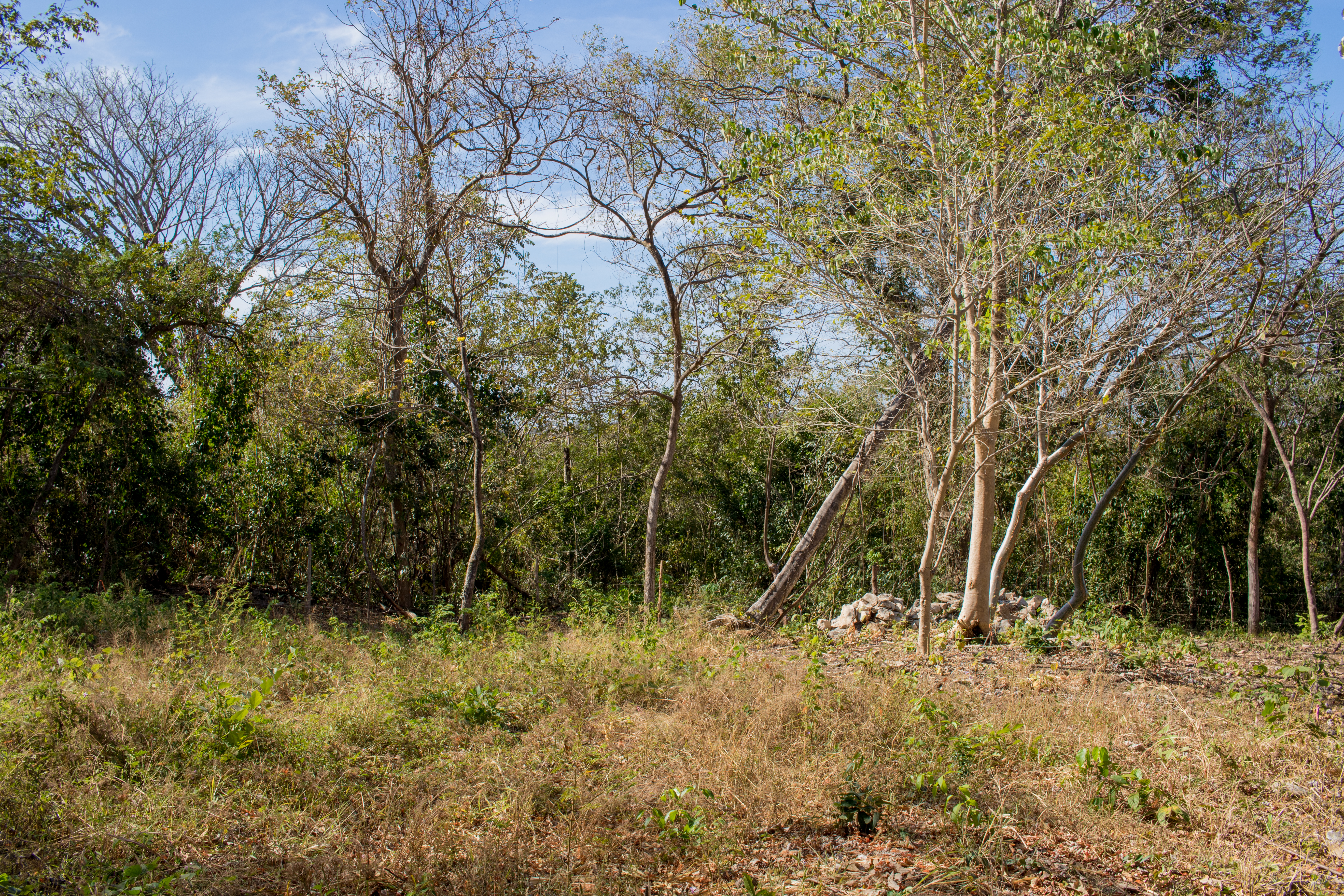 50 metros oeste de cafe de paris