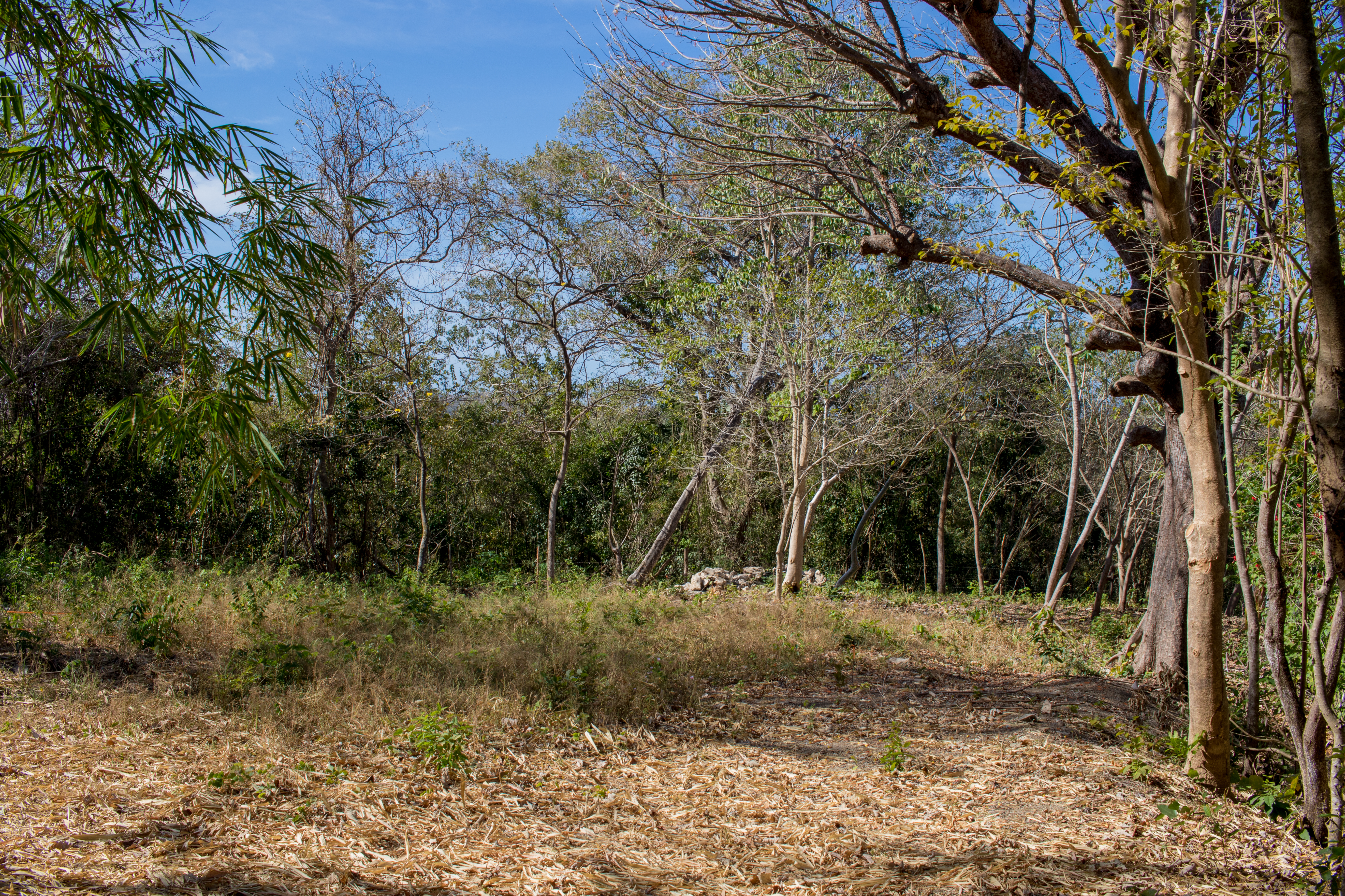 50 metros oeste de cafe de paris