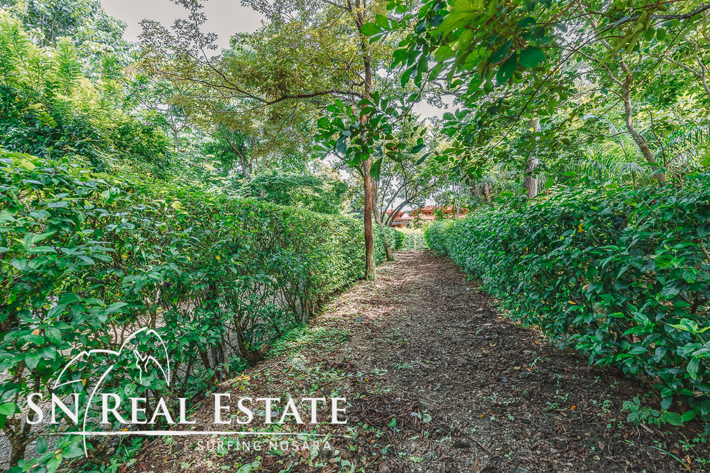 50 metros oeste de cafe de paris