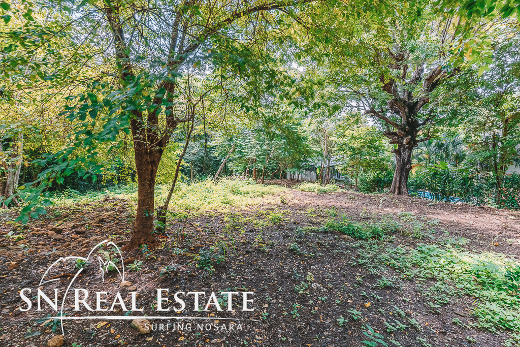 50 metros oeste de cafe de paris