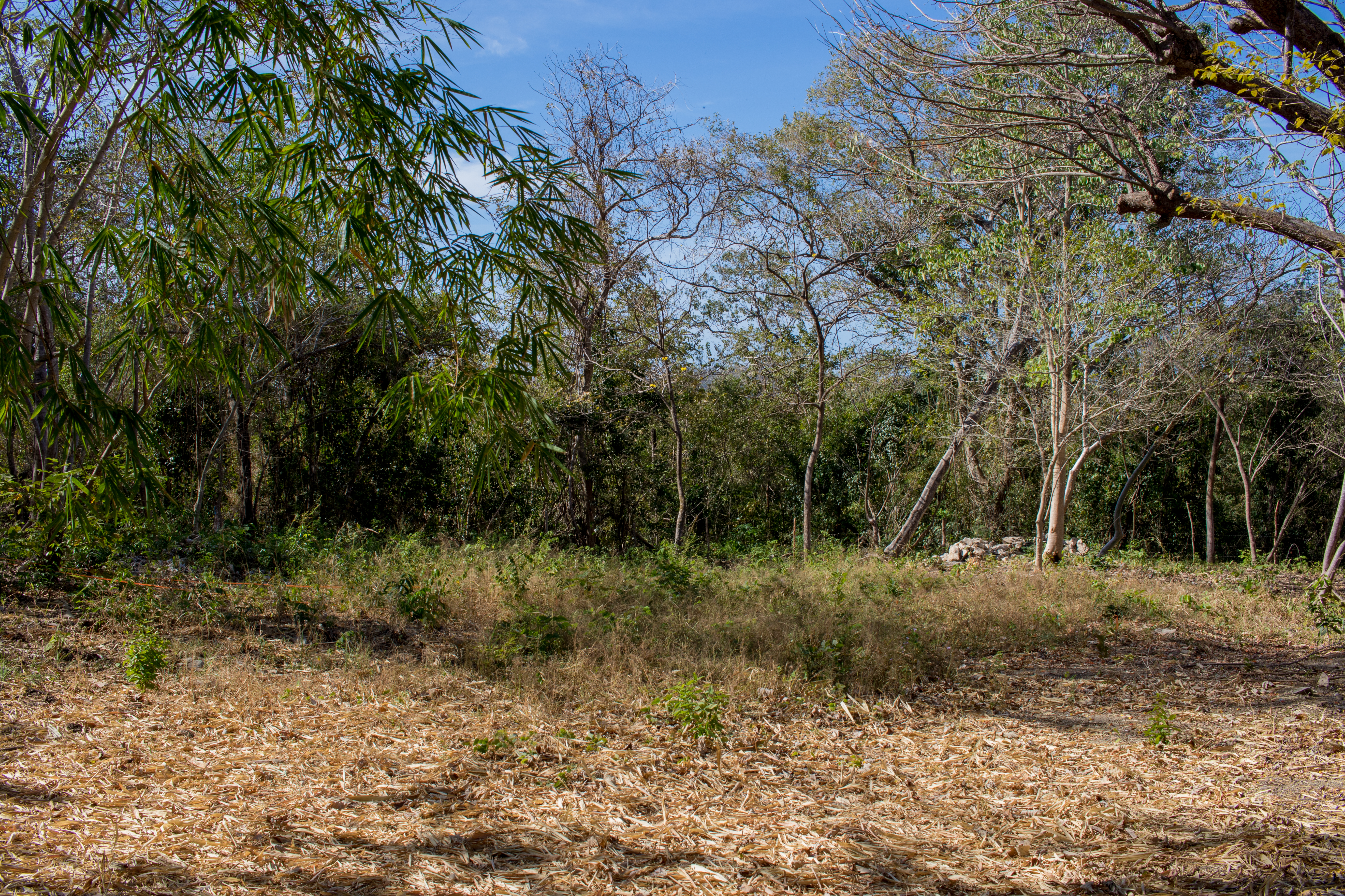 50 metros oeste de cafe de paris