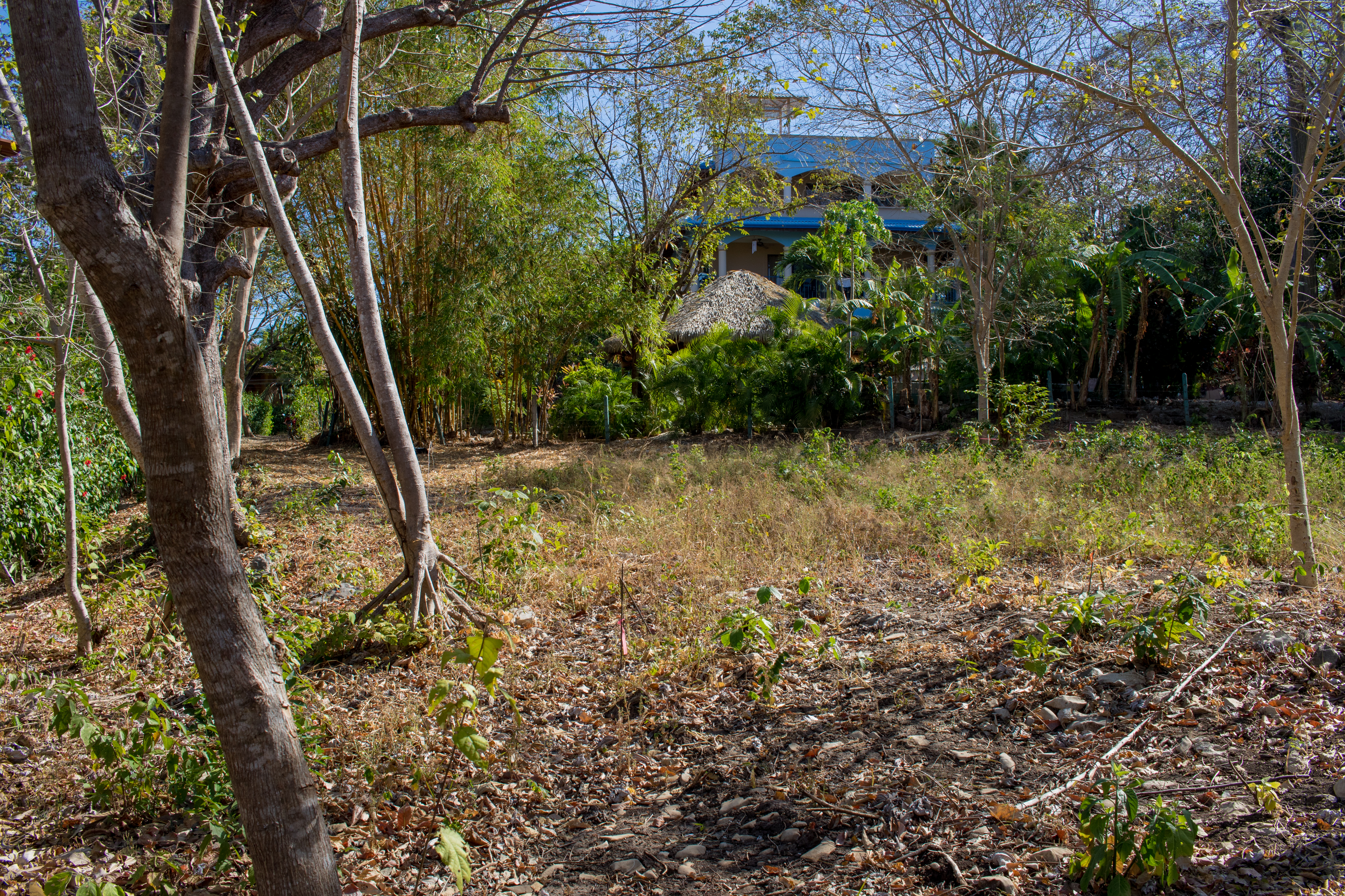 50 metros oeste de cafe de paris