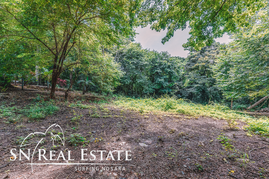 50 metros oeste de cafe de paris