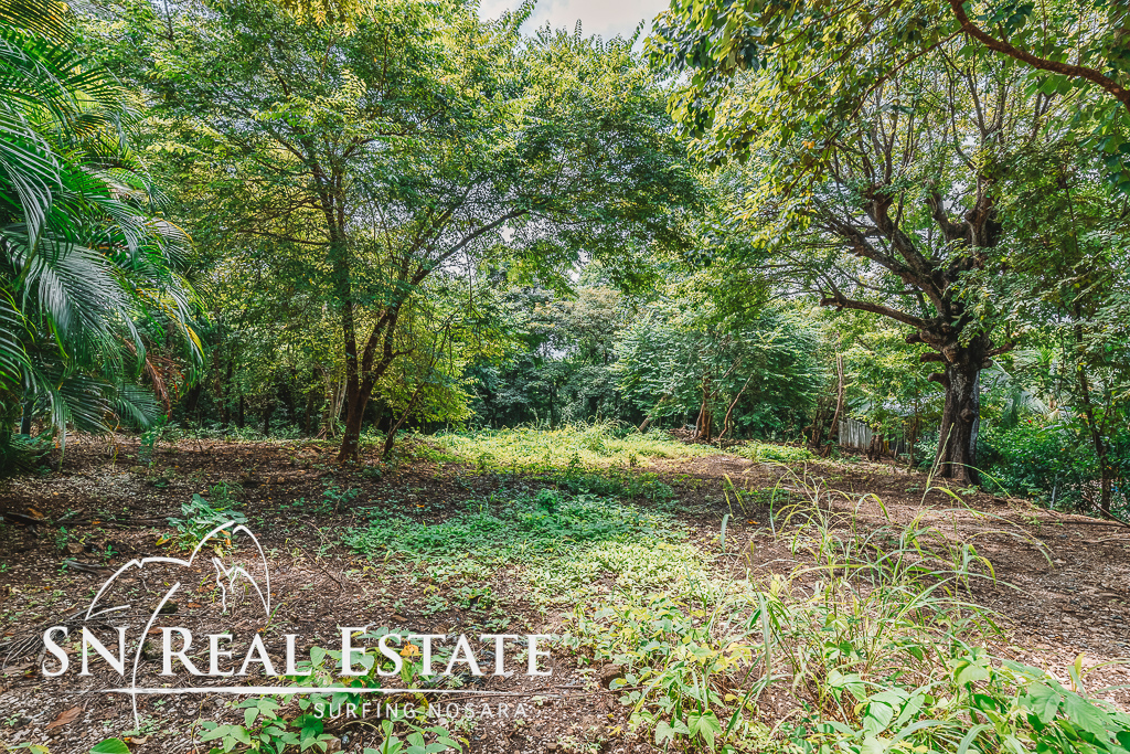 50 metros oeste de cafe de paris