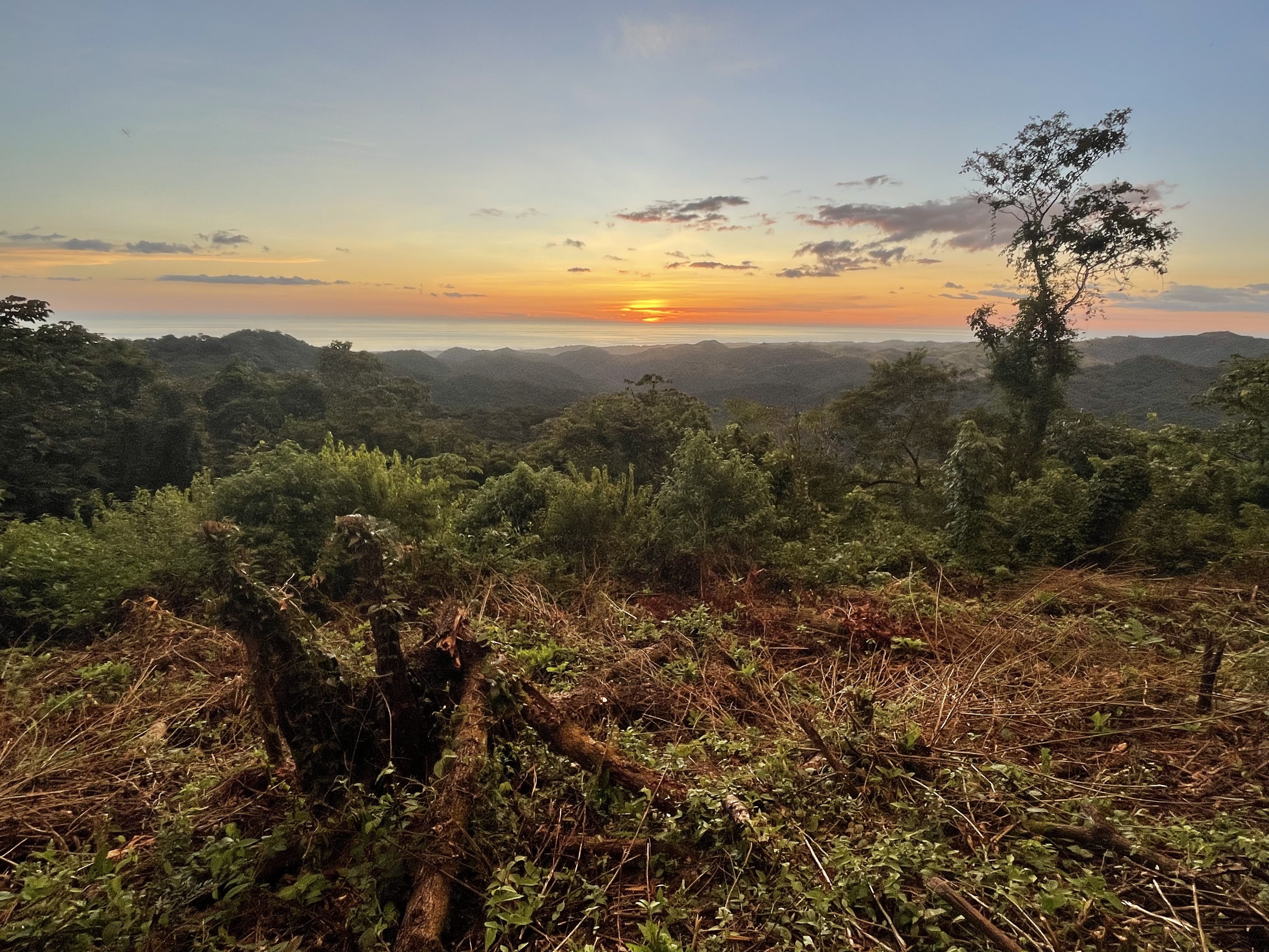 17 Hectare Farm with 360 degree views