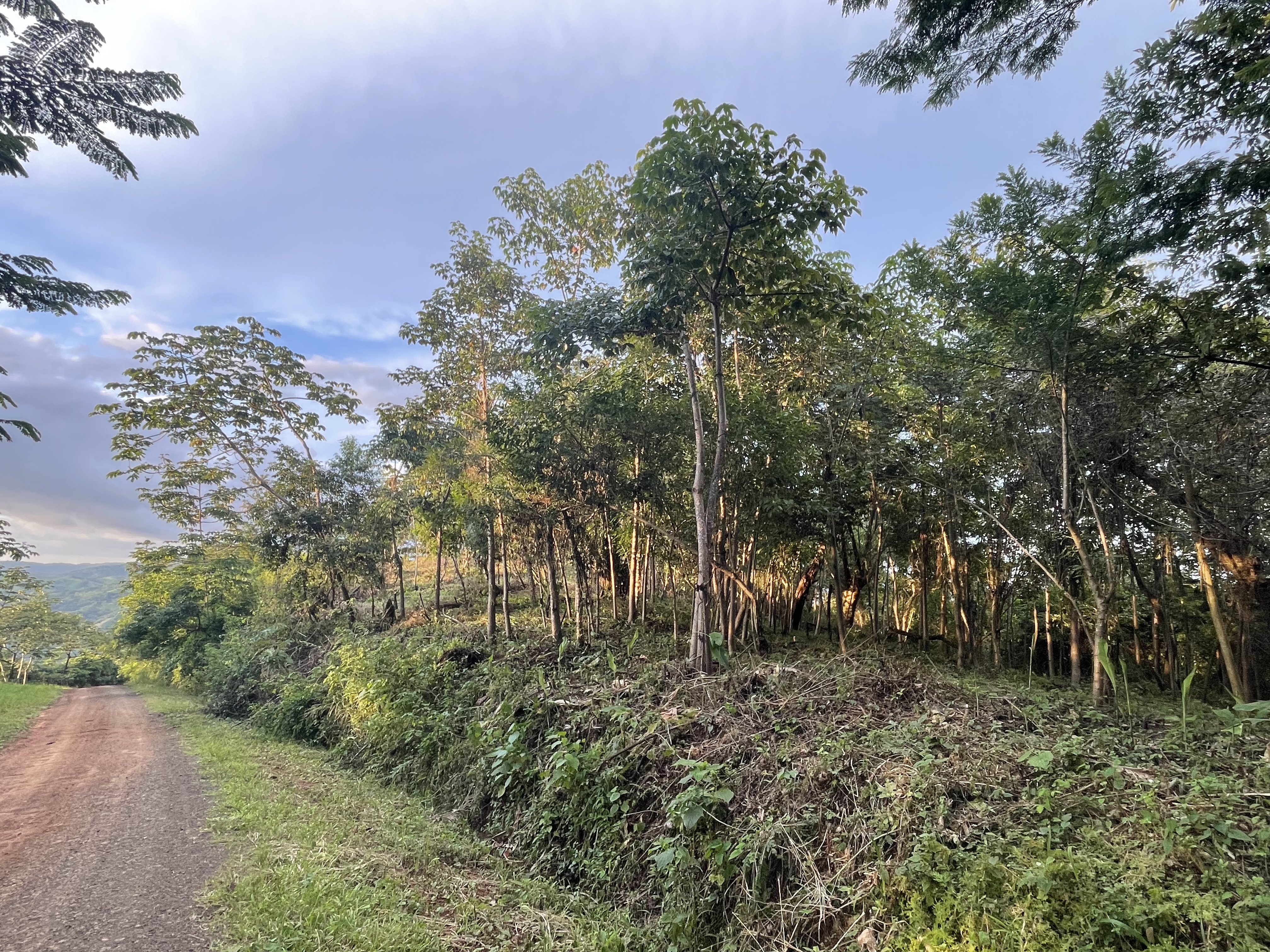17 Hectare Farm with 360 degree views