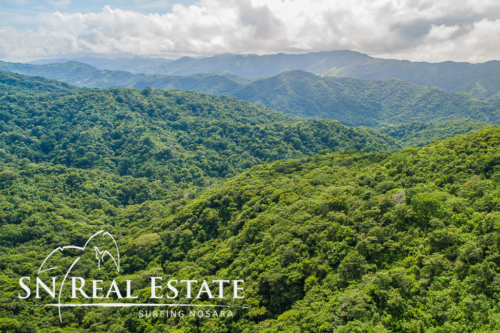 17 Hectare Farm with 360 degree views