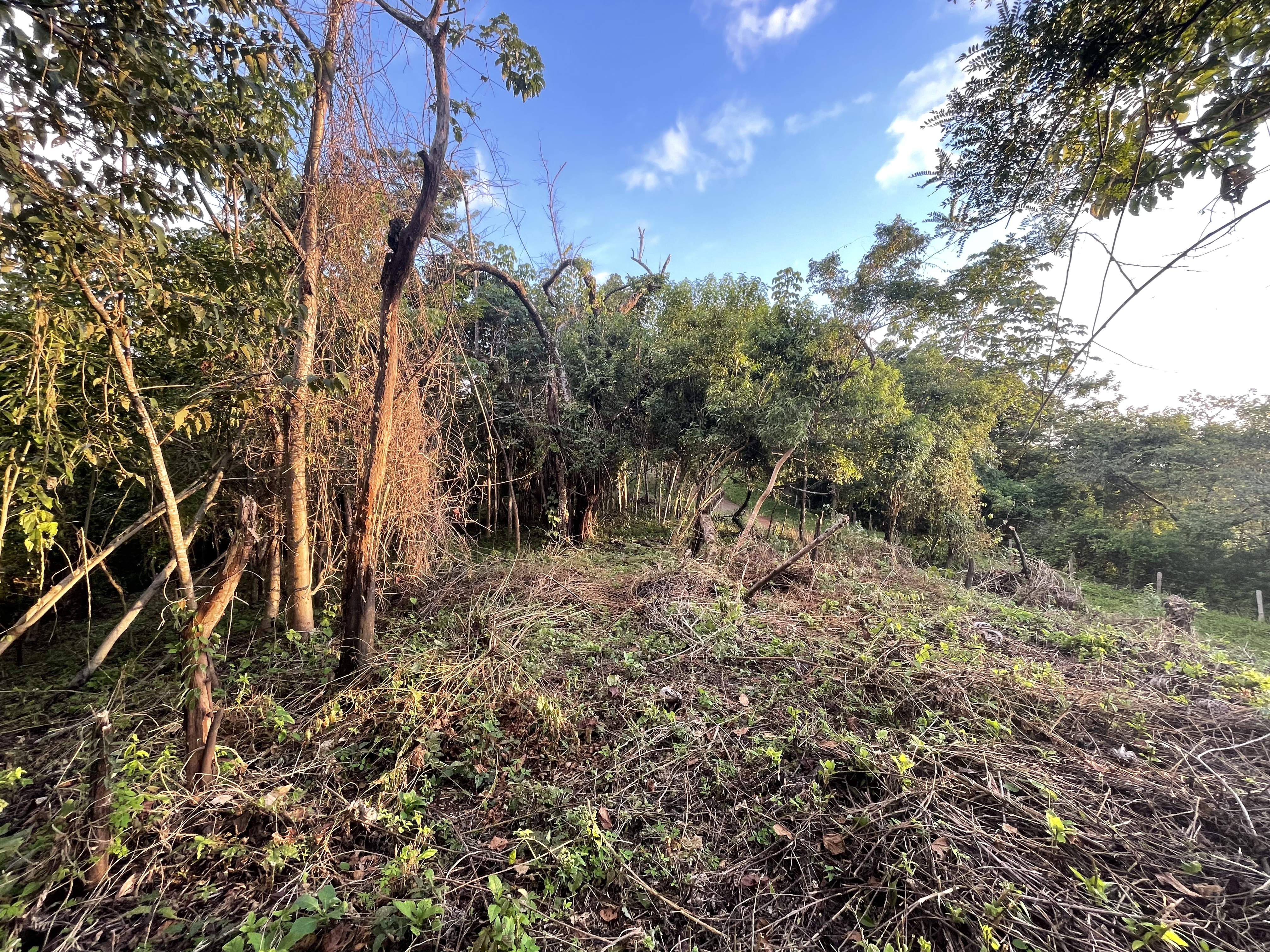 17 Hectare Farm with 360 degree views