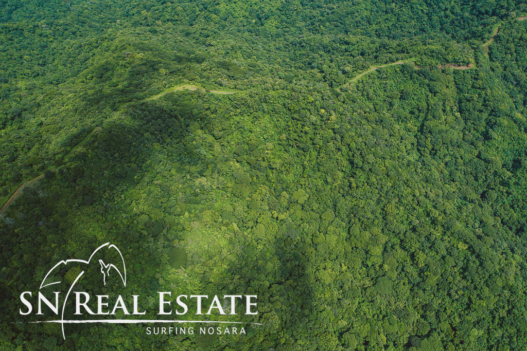 17 Hectare Farm with 360 degree views