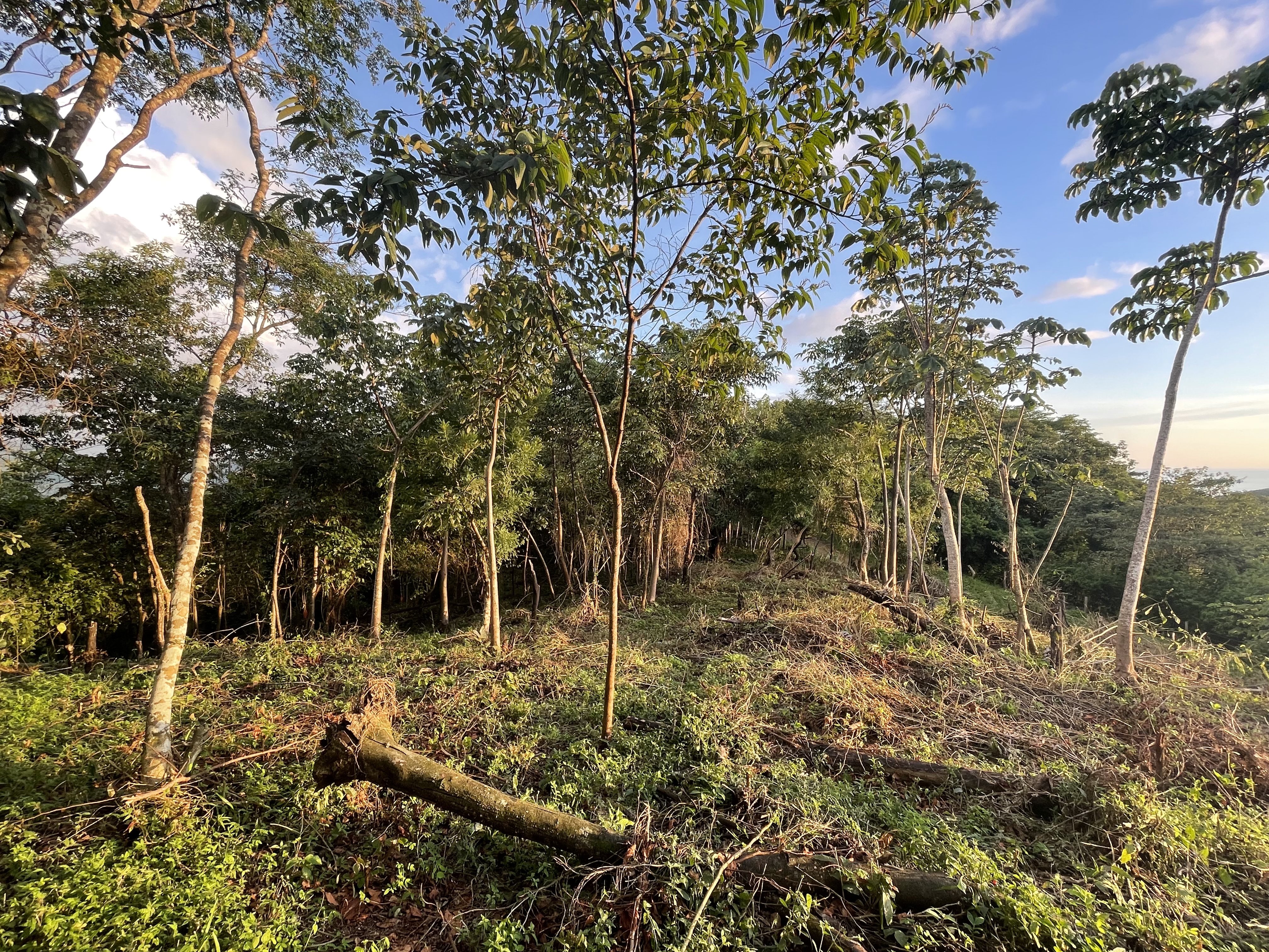 17 Hectare Farm with 360 degree views