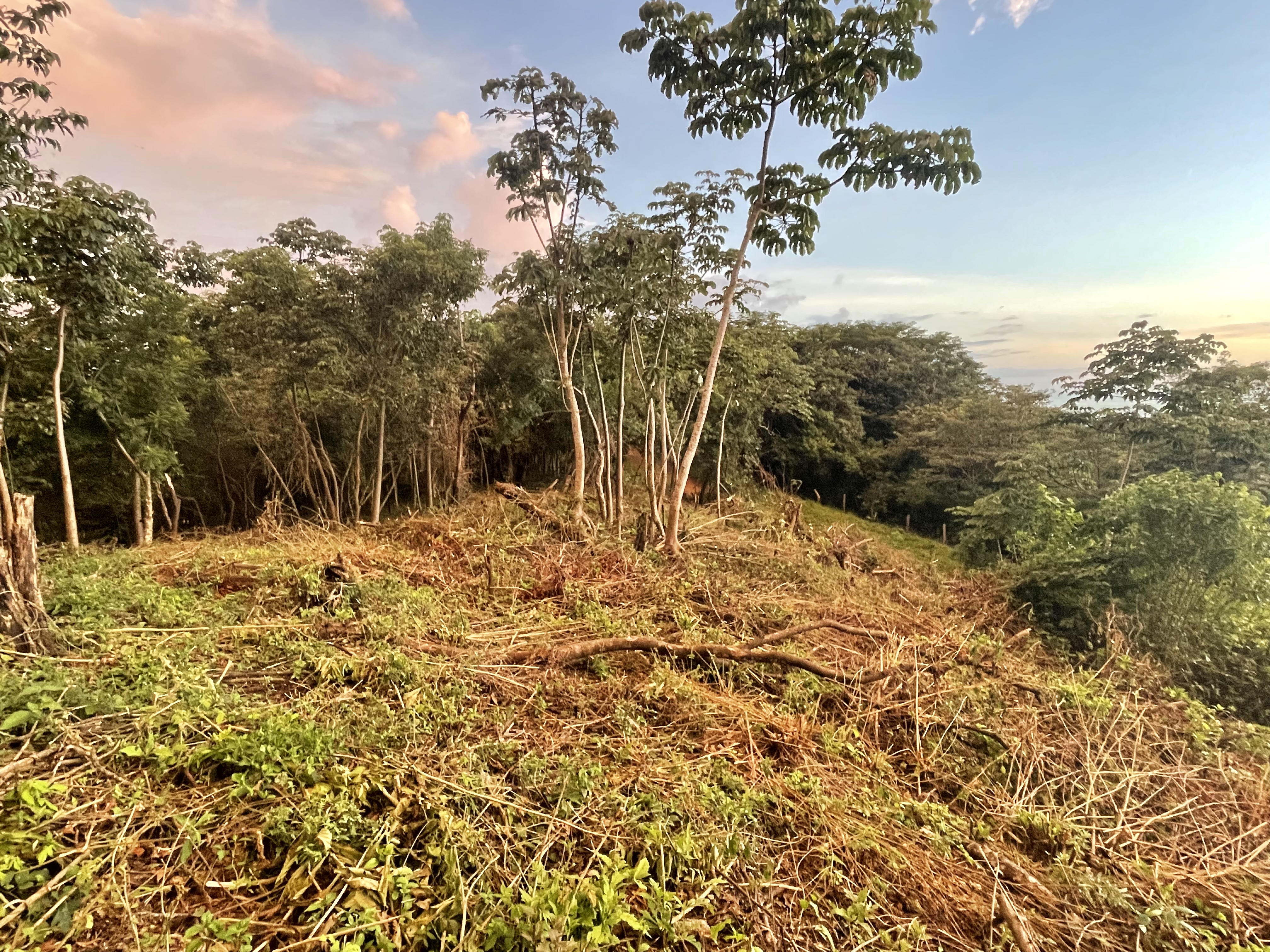 17 Hectare Farm with 360 degree views