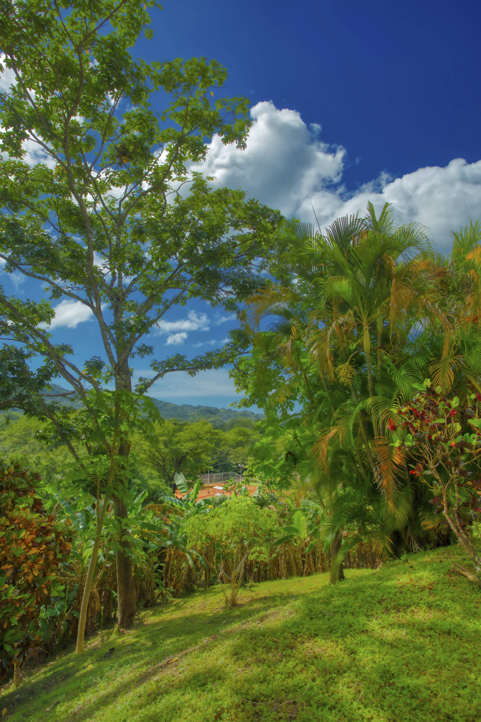 50 metros oeste de cafe de paris