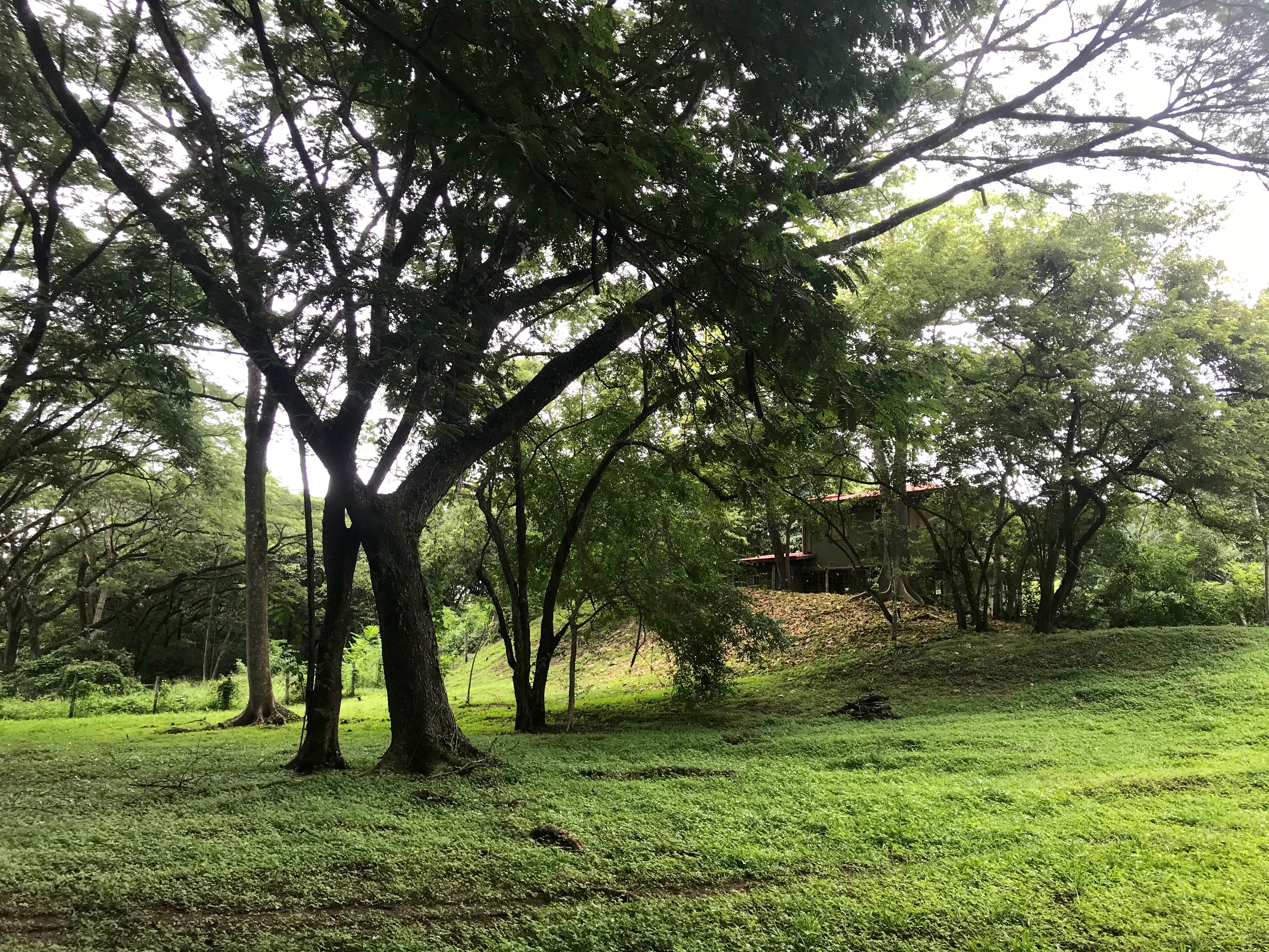 Nosara