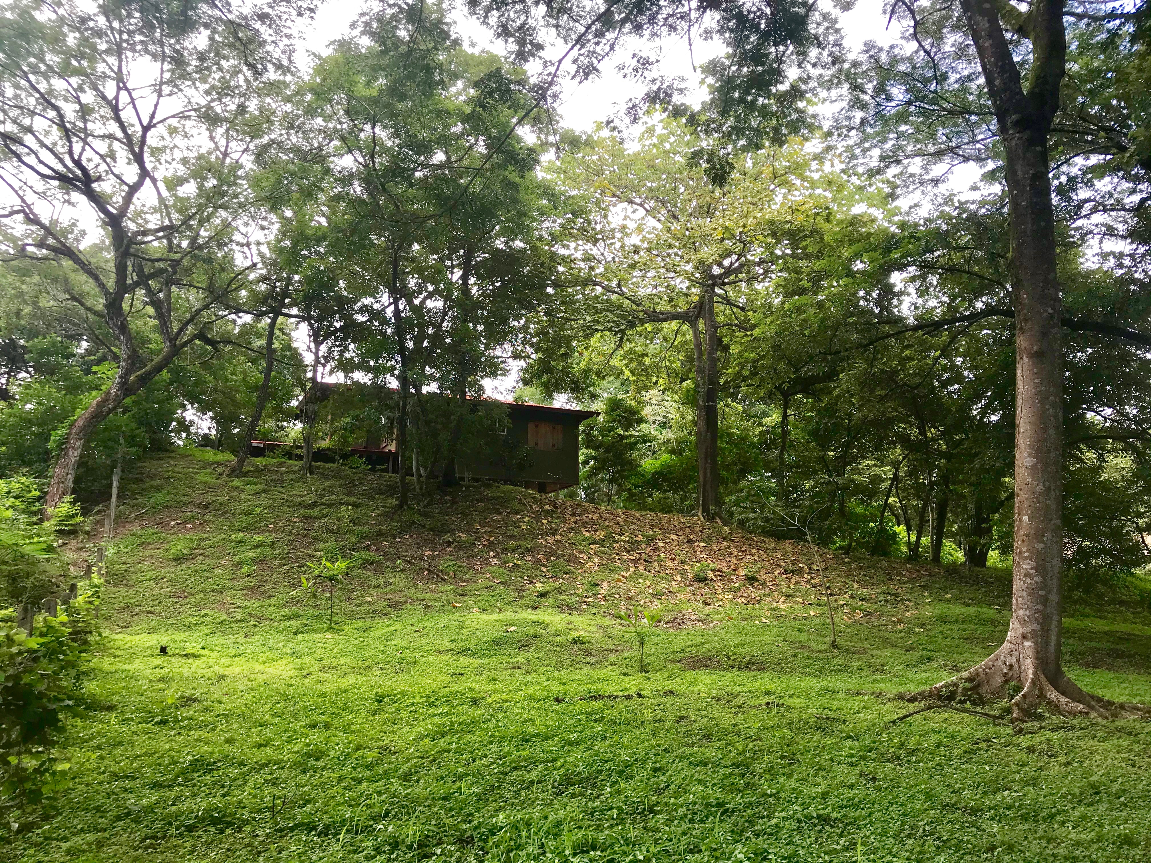 Nosara