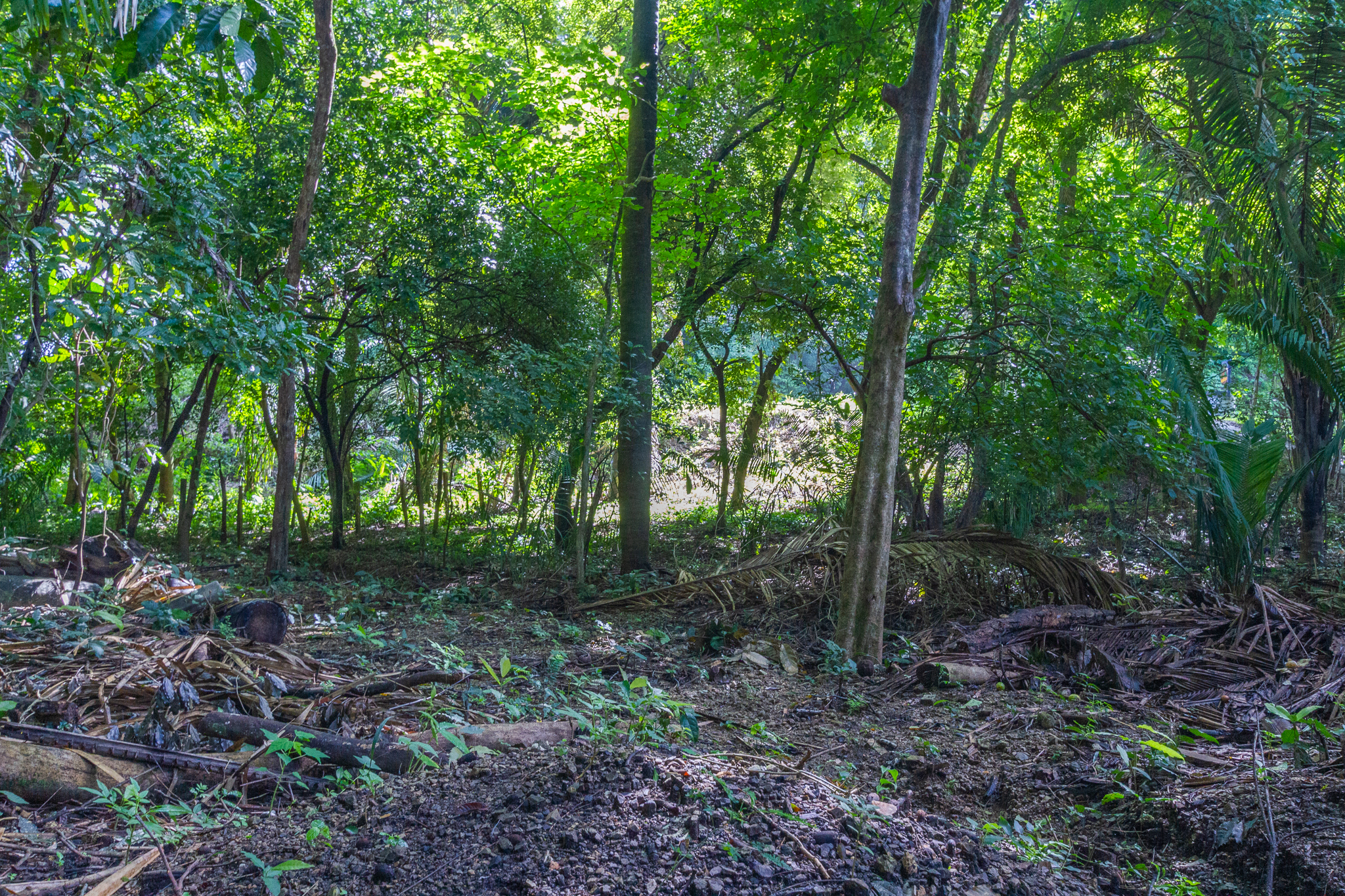 H Section Building Lot